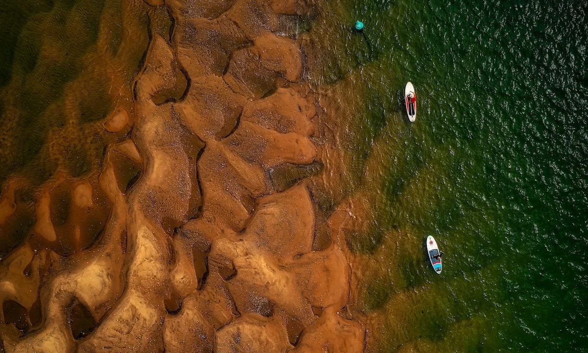 Weekly Recap 04/29/2025