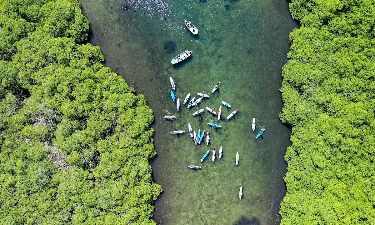 Weekly Recap 07/29/2025