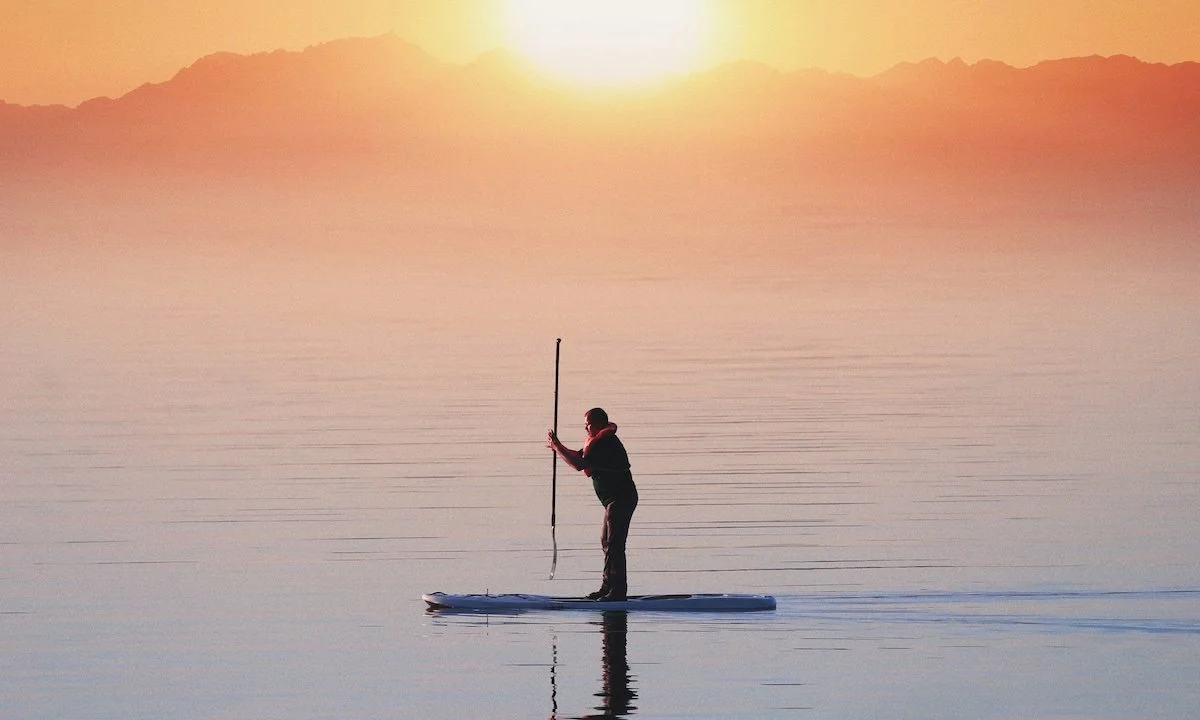 Weekly Recap 08/12/2025