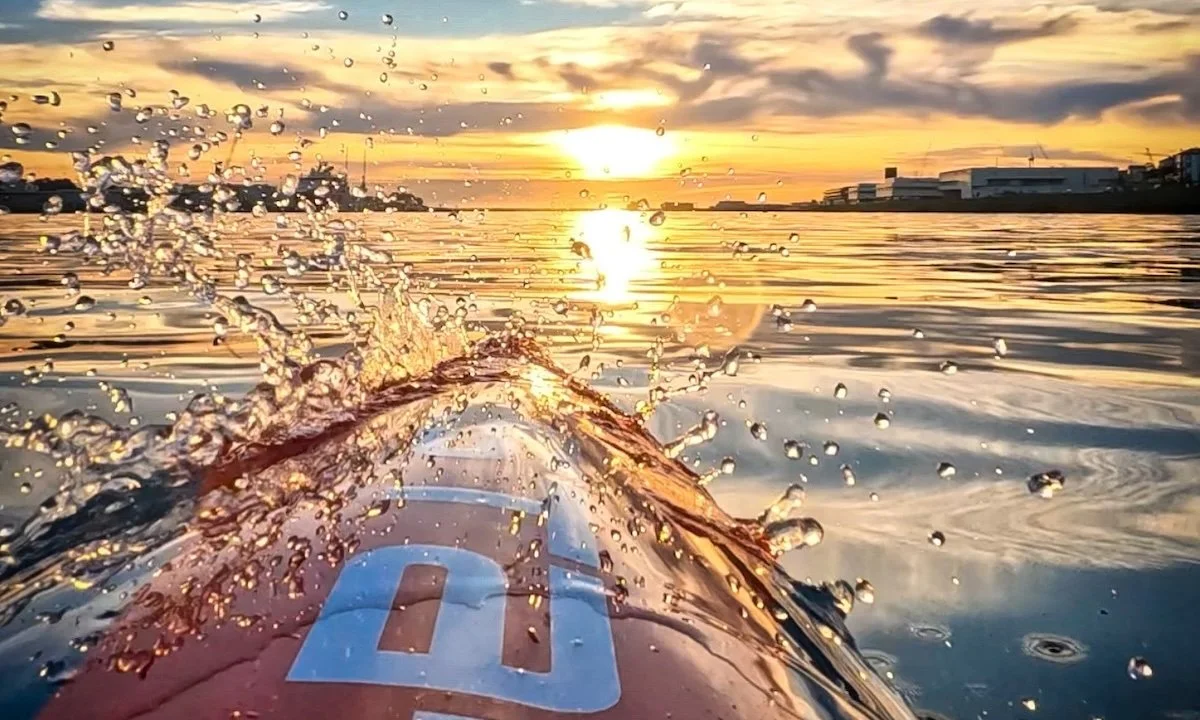 Weekly Recap 08/19/2025