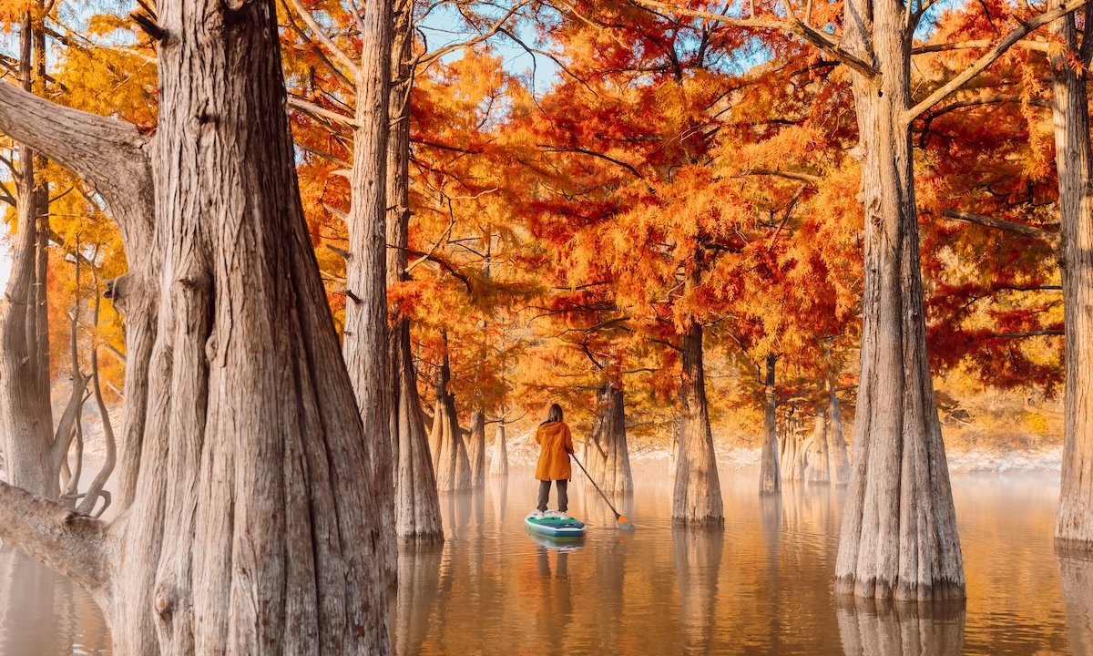 Weekly Recap 09/16/2025