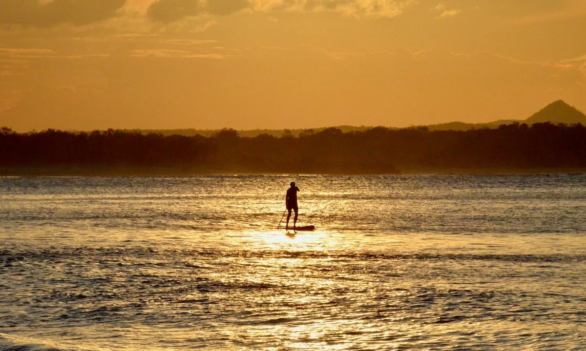 Weekly Recap 09/23/2025