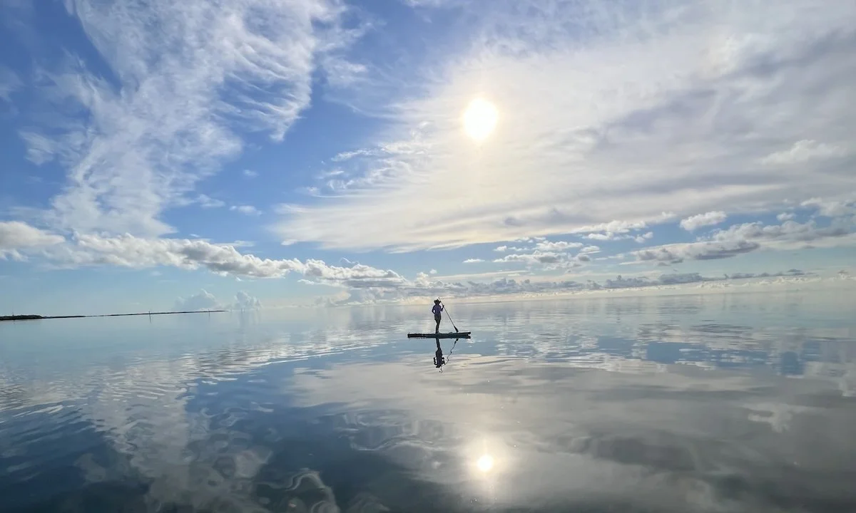 Weekly Recap 09/30/2025