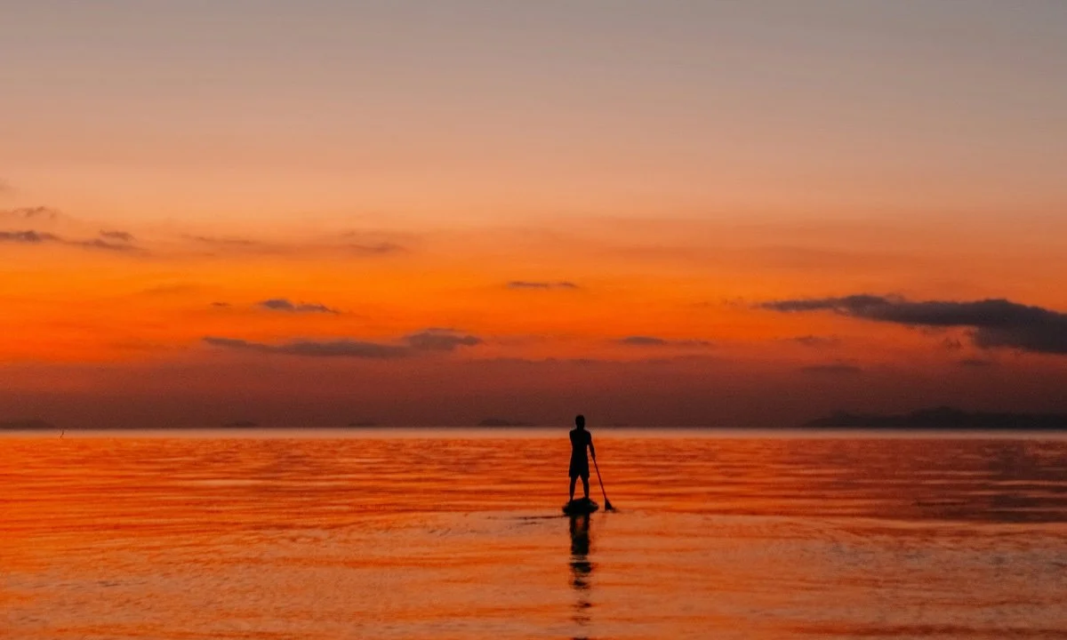 Weekly Recap 12/16/2025