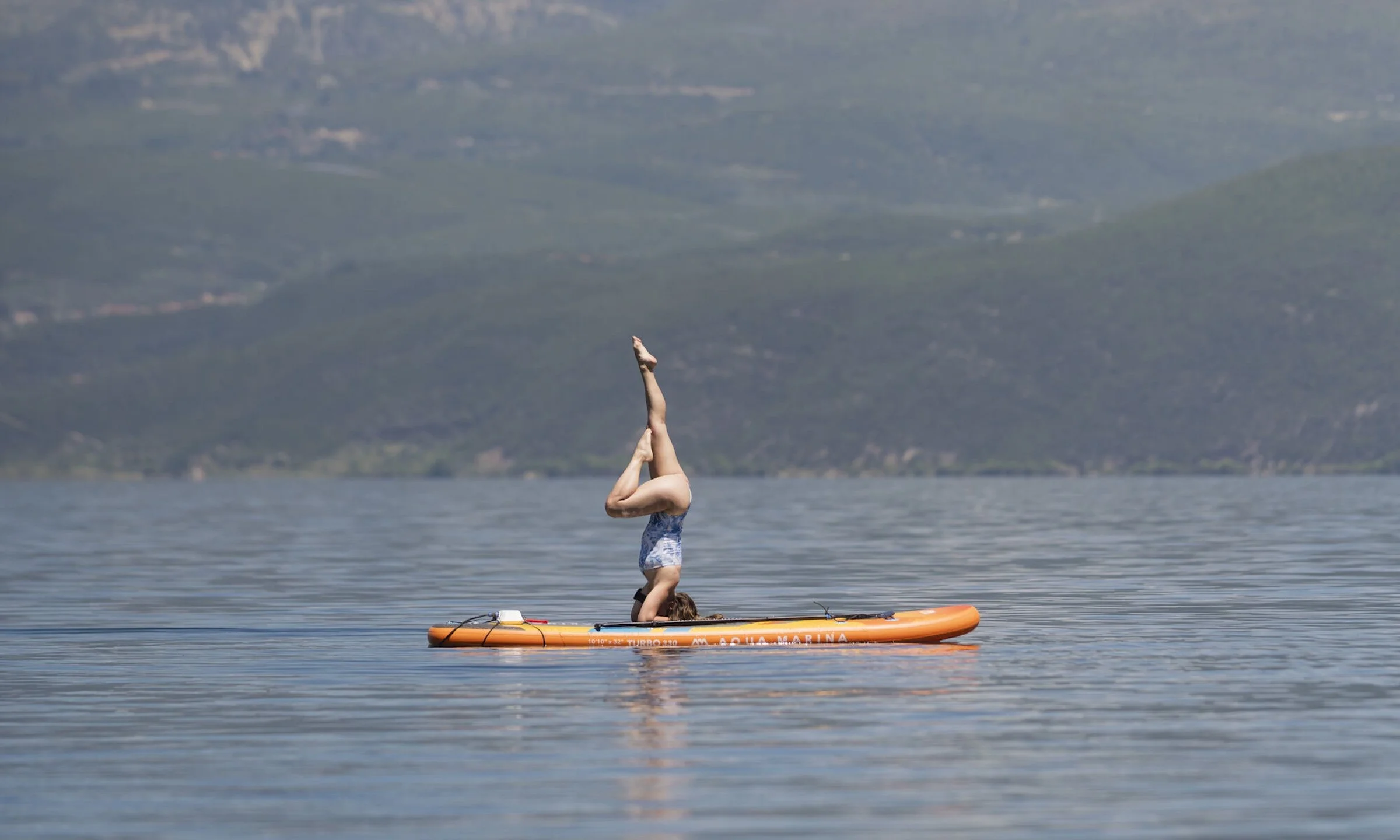 Weekly Recap 01/13/2026