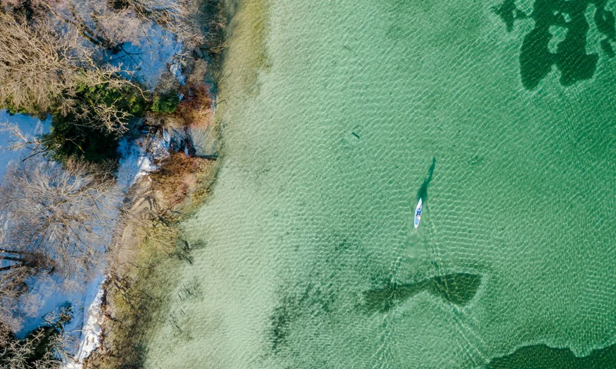 Weekly Recap 02/10/2026