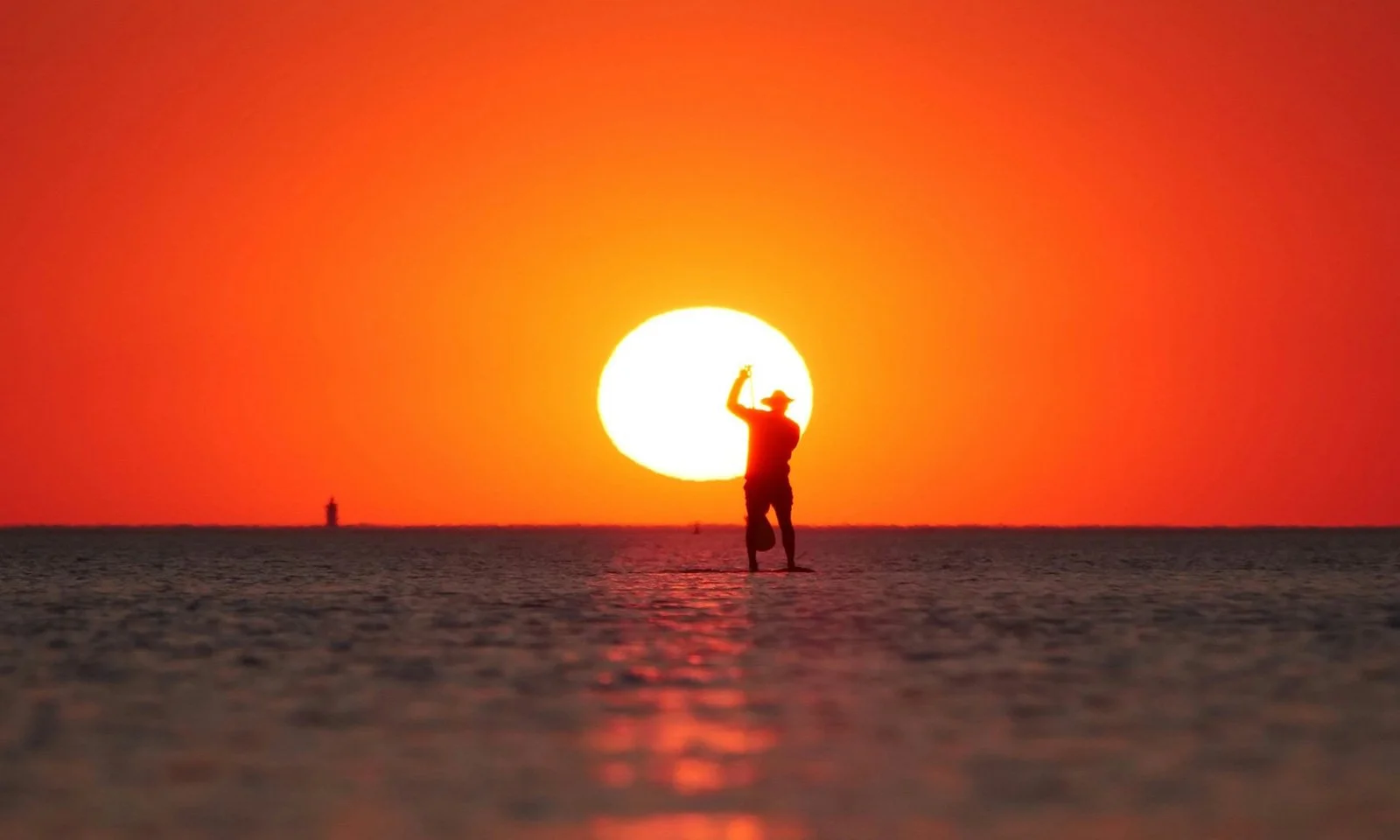 Weekly Recap 02/17/2026