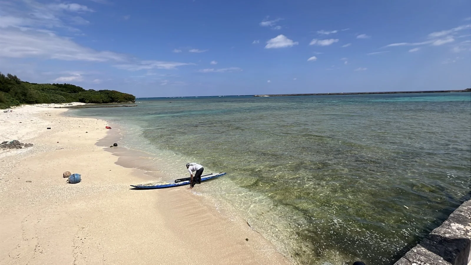 IMG_1122 野原康弘.jpeg