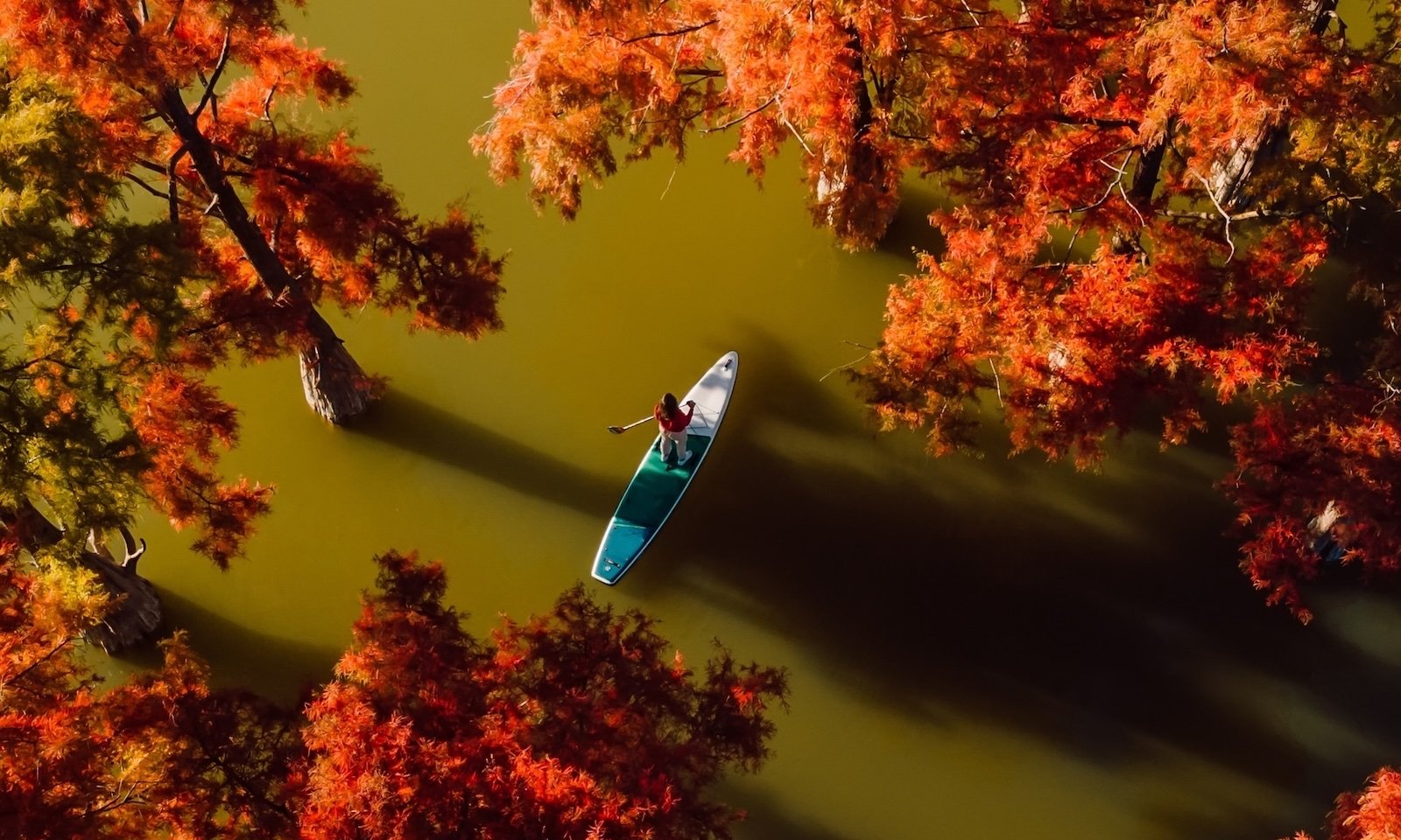 Weekly Recap 04/07/2026