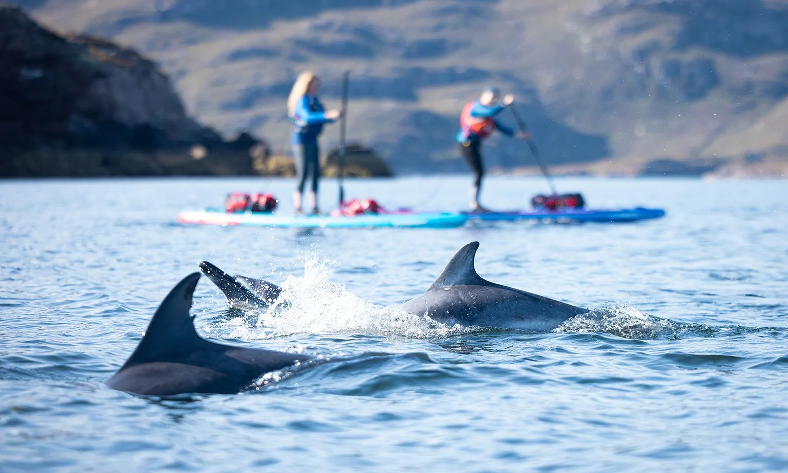 How You Can Help The Earth Through Paddle Boarding