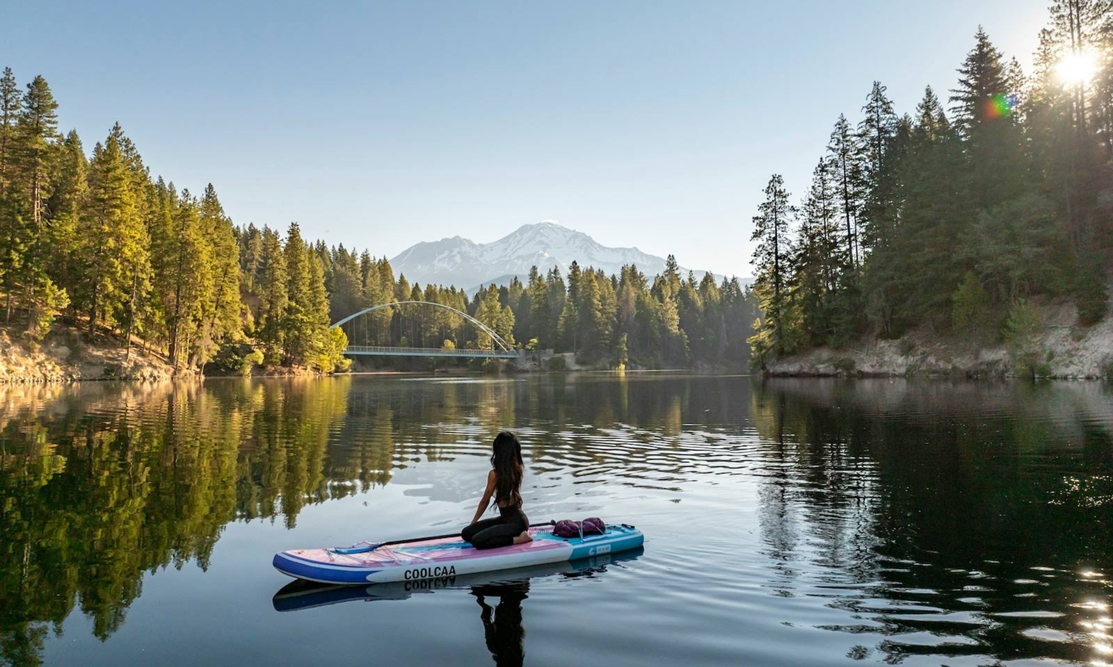 Weekly Recap 03/03/2026