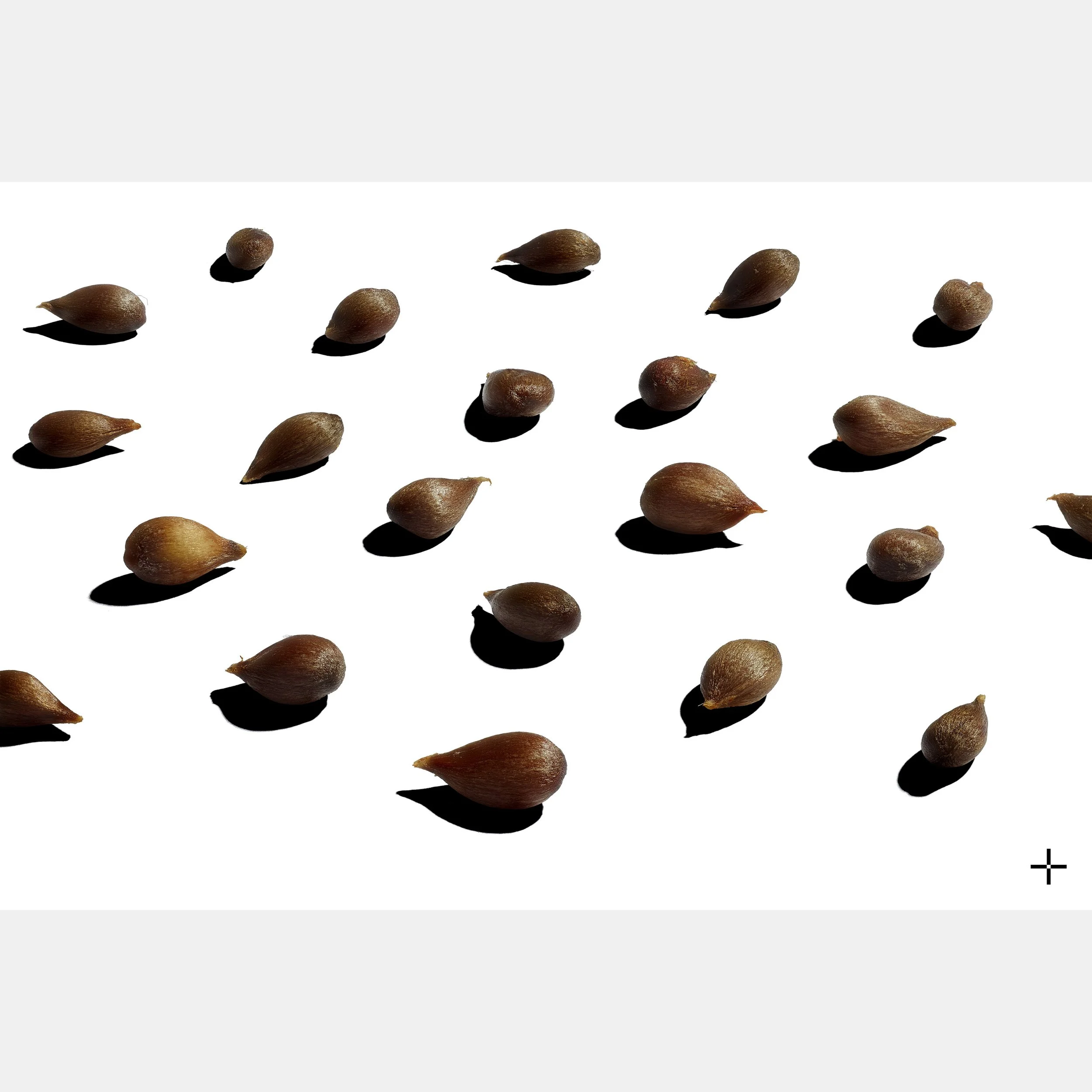 L+A_60_40_Print-61.2 lr.jpg