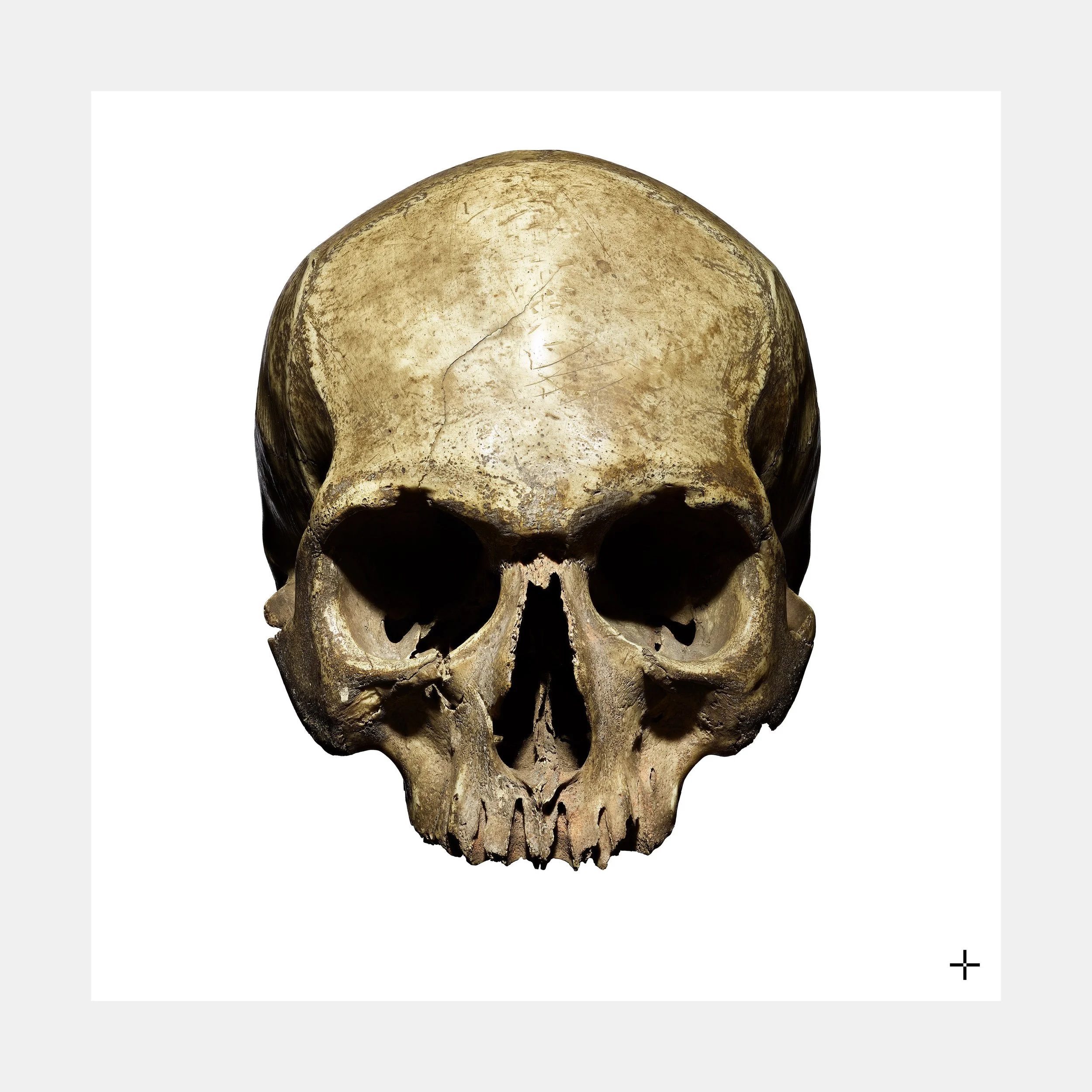 L+A_60_60_Master_Print-1.5.2 lr copy.jpg