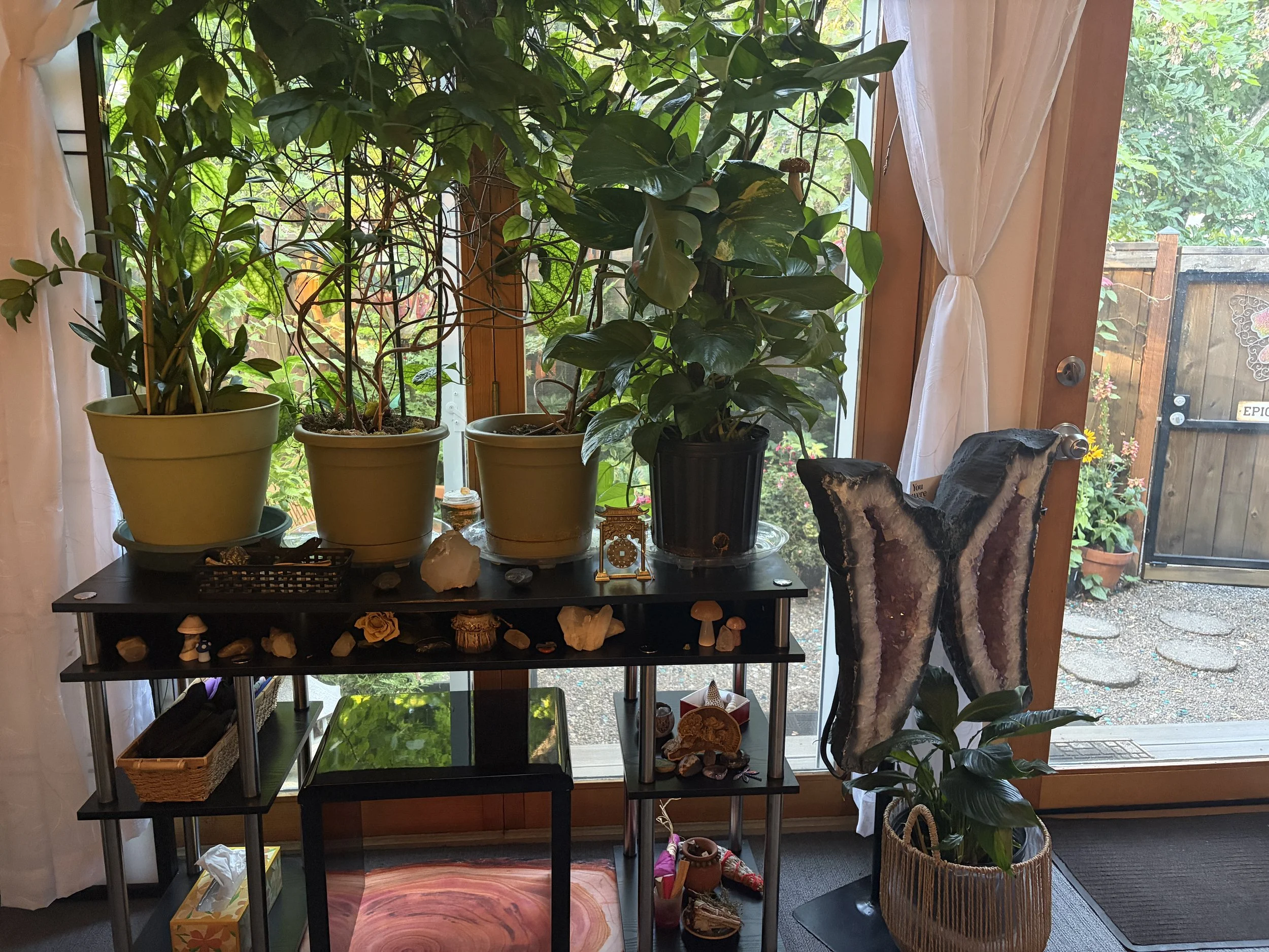 The Heart and Science of Healing: Updates from EPIC &amp; Radiant Heart, the Nation's First Licensed Psilocybin Service Center
