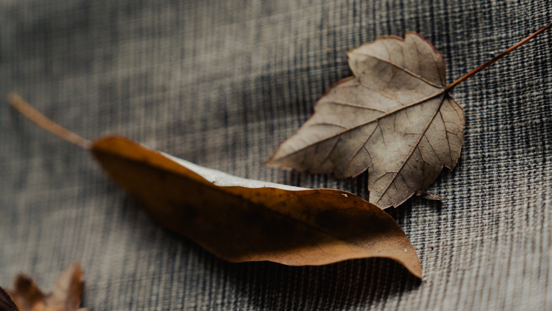 What does it mean to be “poor in spirit?”