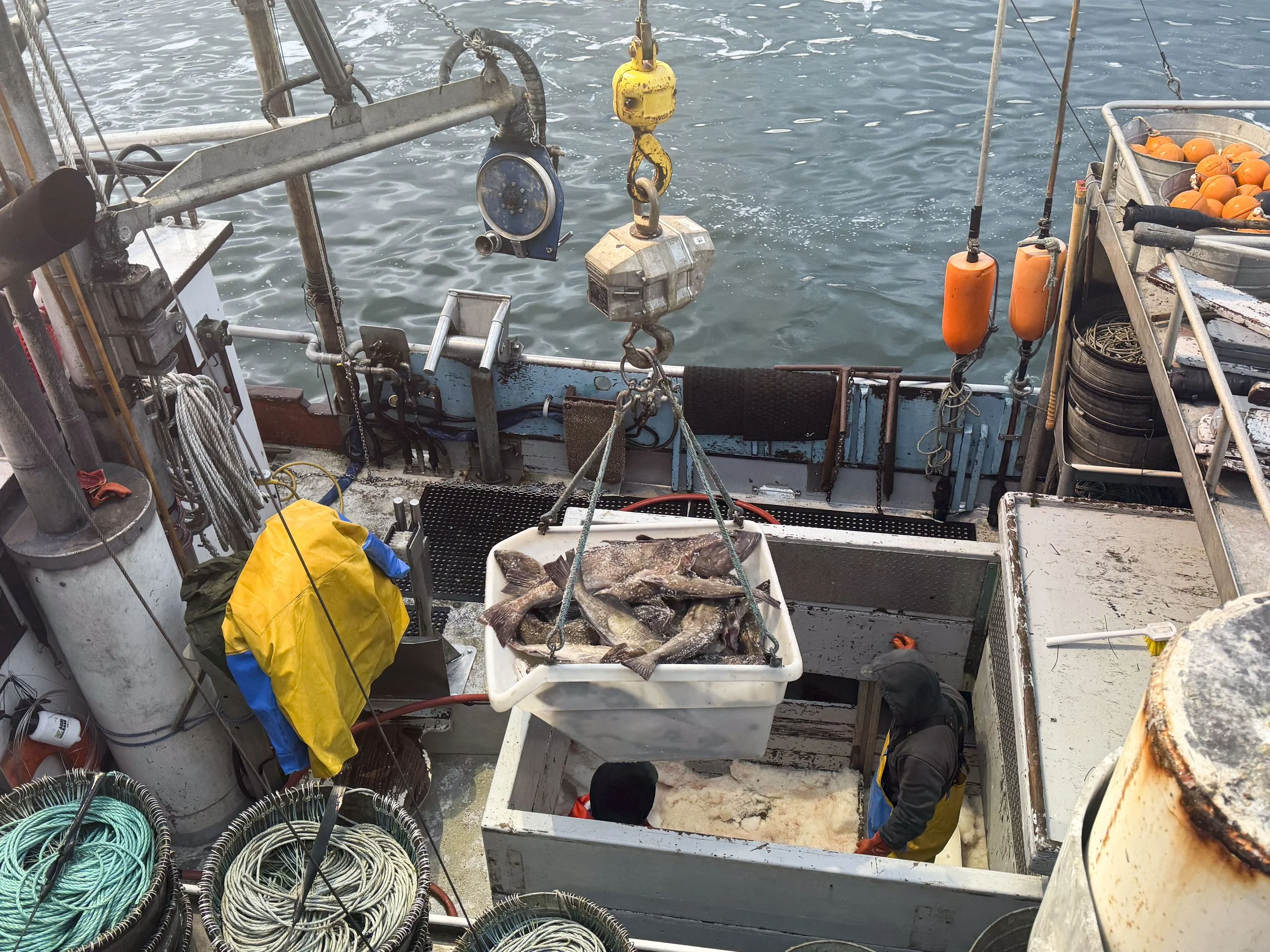 The Great Groundfish Comeback and Why it Matters for Oregon Seafood Lovers