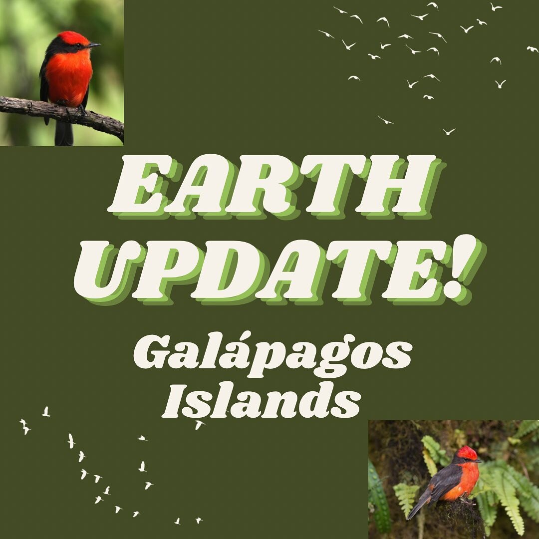 Swipe for an earth update from the Gal&aacute;pagos Islands ! 🌎💚