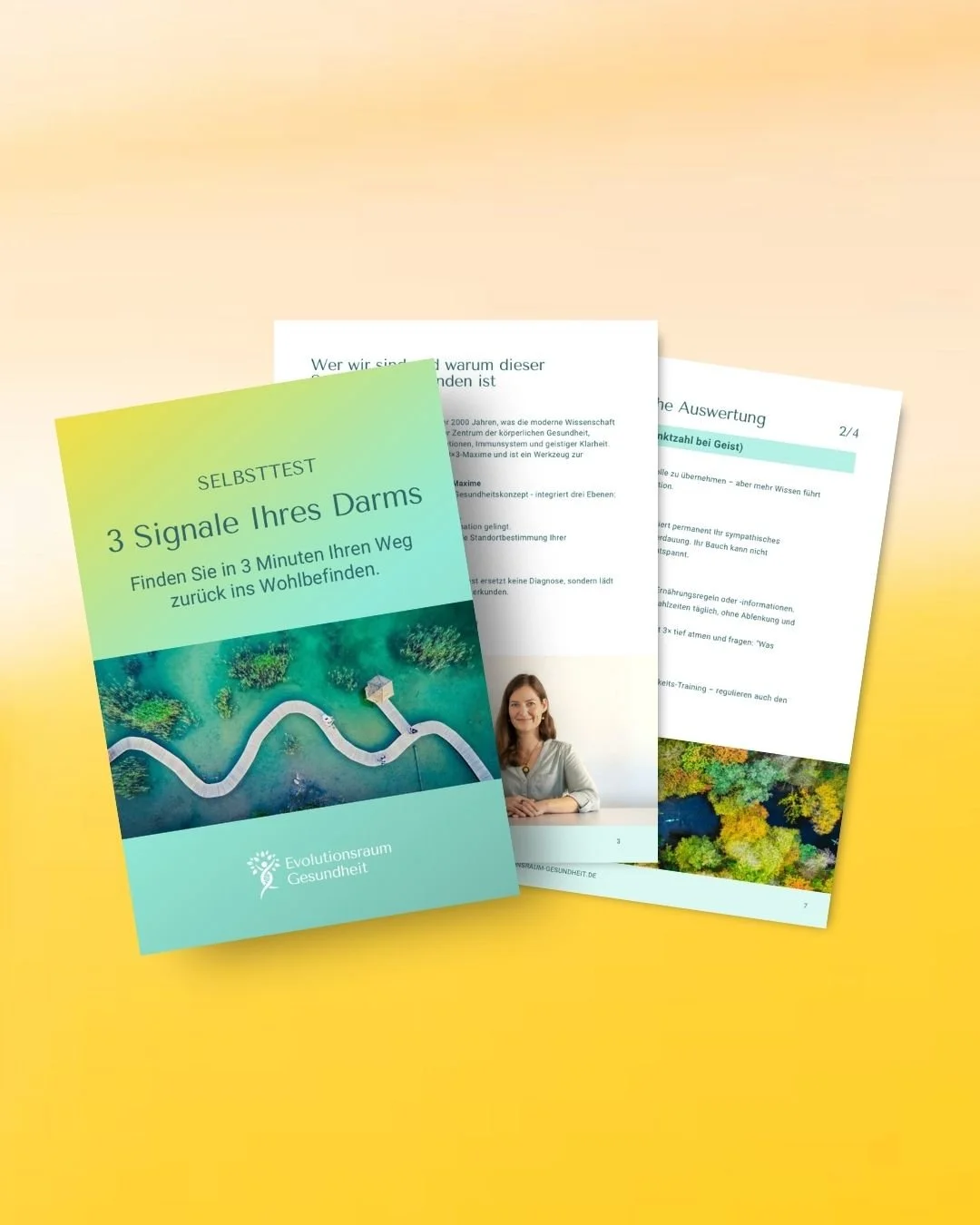 Gestaltung des Freebies „3 Signale Ihres Darms“ als digitaler Selbsttest für den Evolutionsraum Gesundheit.