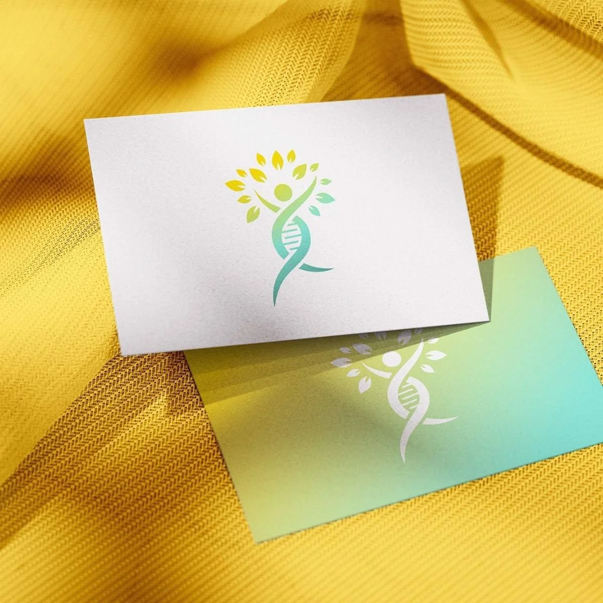 Visitenkarten im Corporate Design des Evolutionsraum Gesundheit mit dem entwickelten Markenlogo und Farbverlauf
