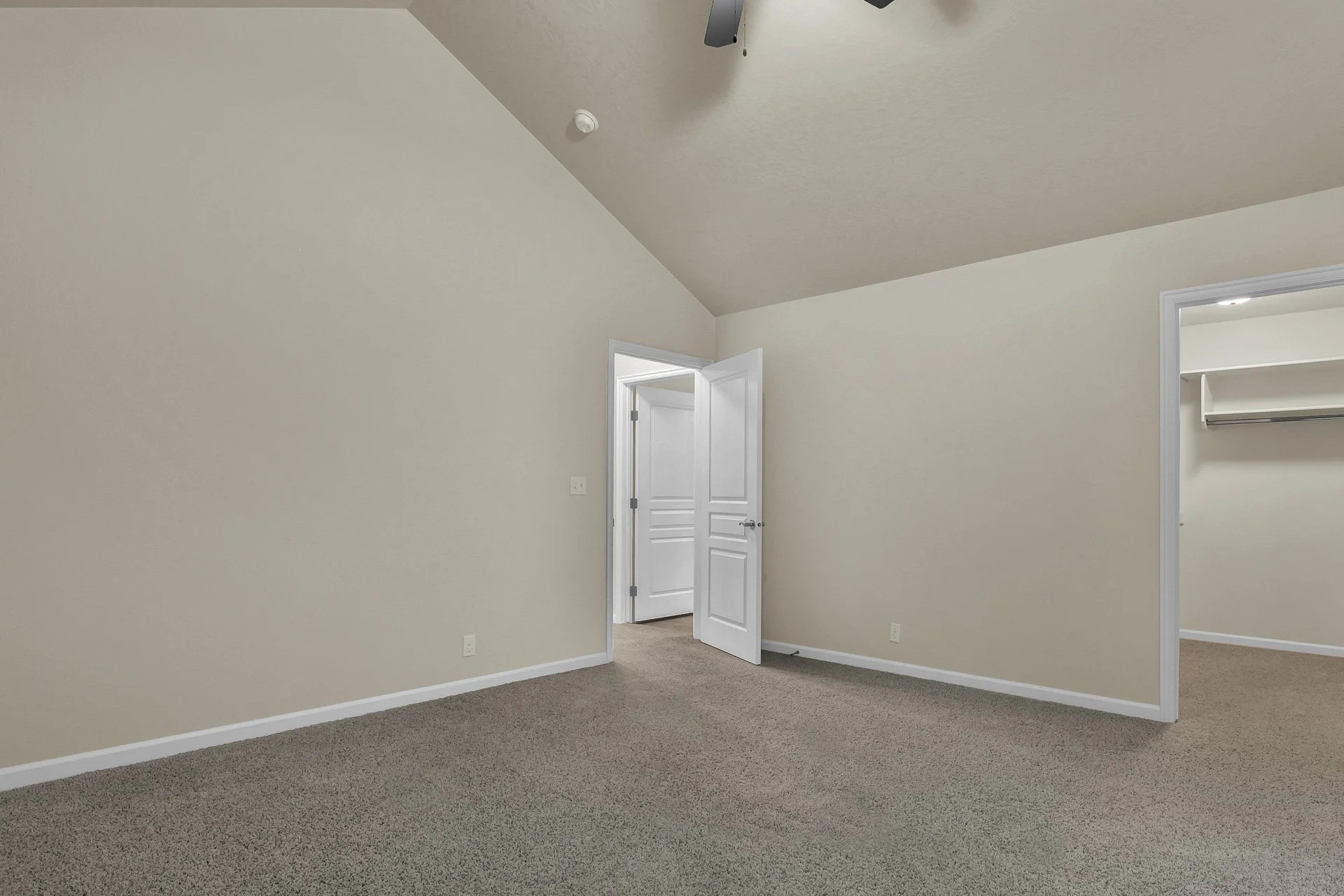 2870clover-33.jpg