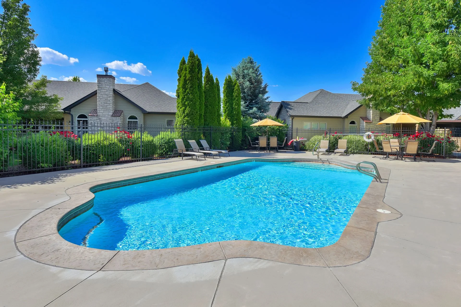 2870clover-48.jpg