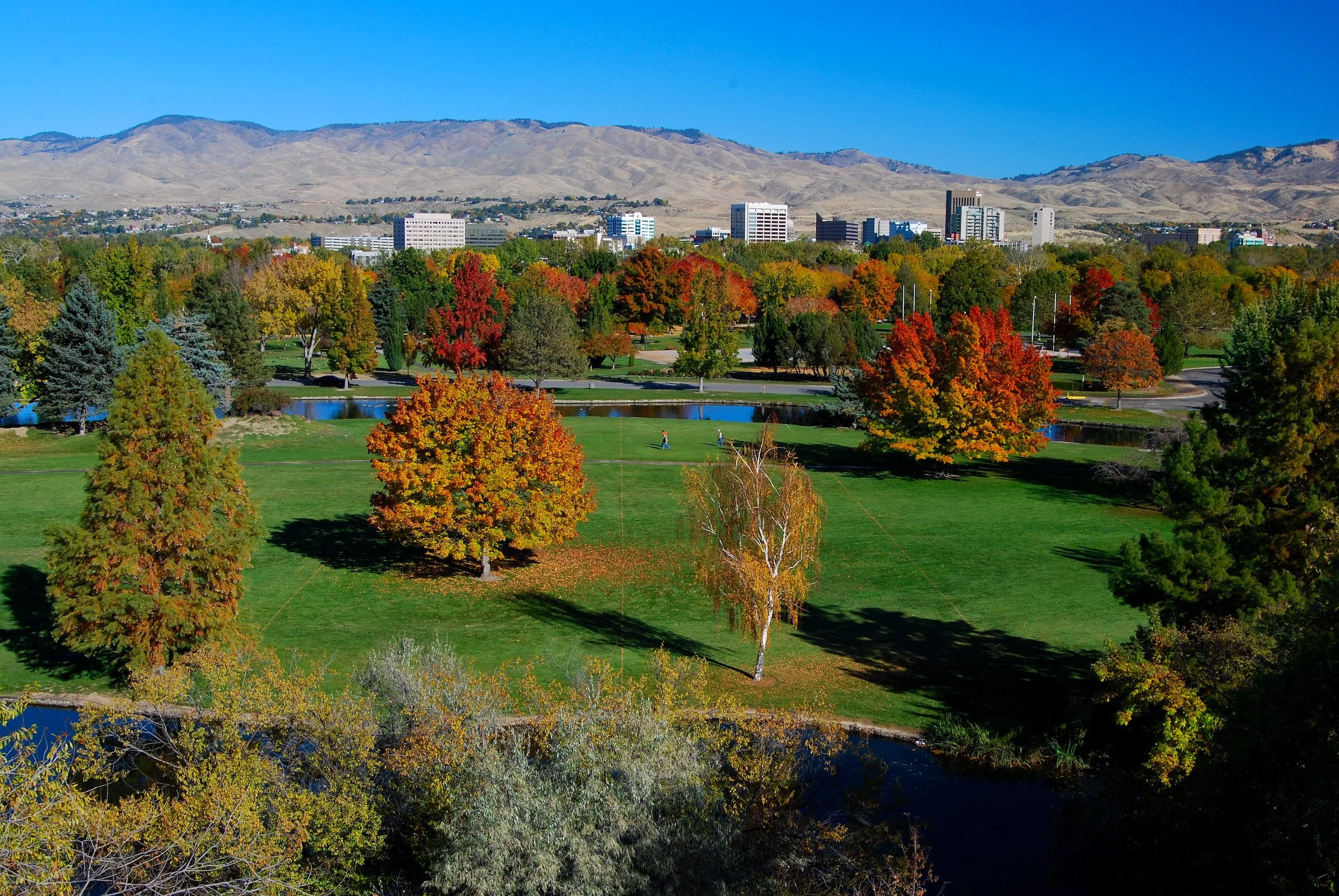 boise_park copy.JPG