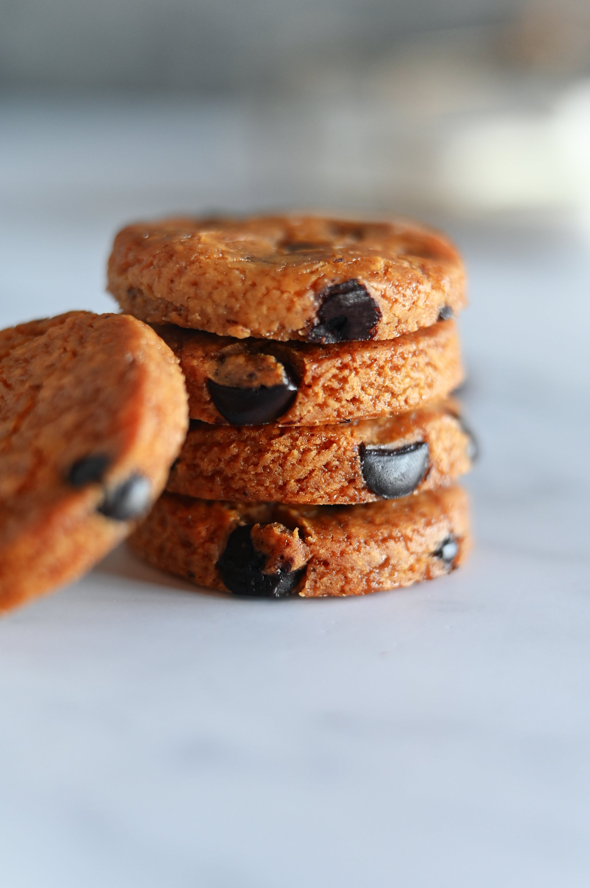 shortbread choco chip 1.jpeg