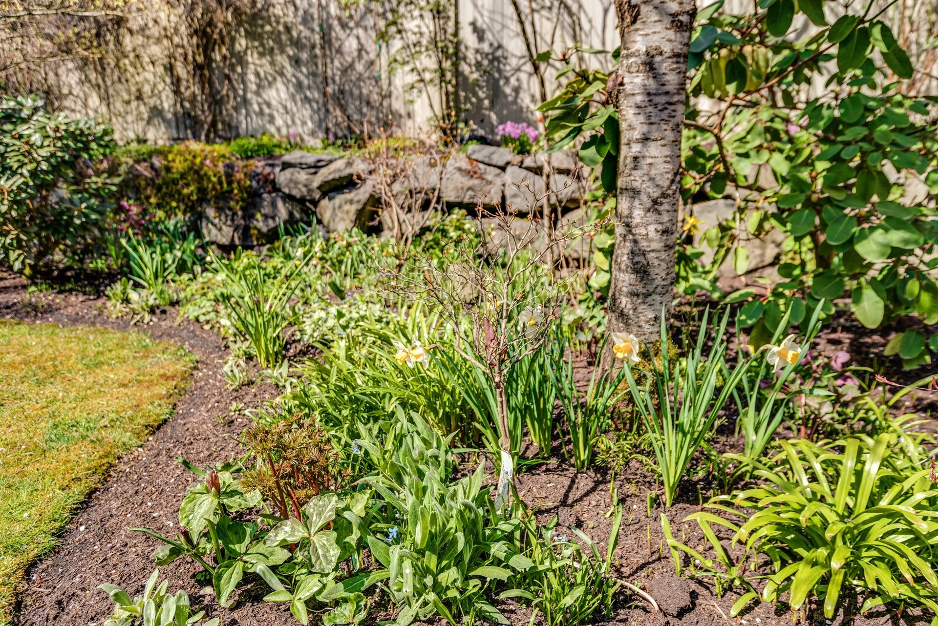 052-344002-JCH_8987_HDR.jpg