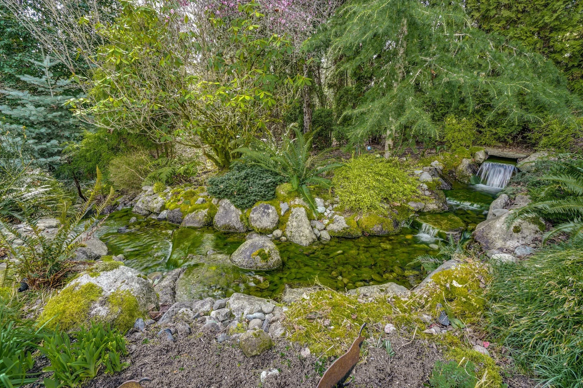 041-373752-JCH01025_HDR.jpg