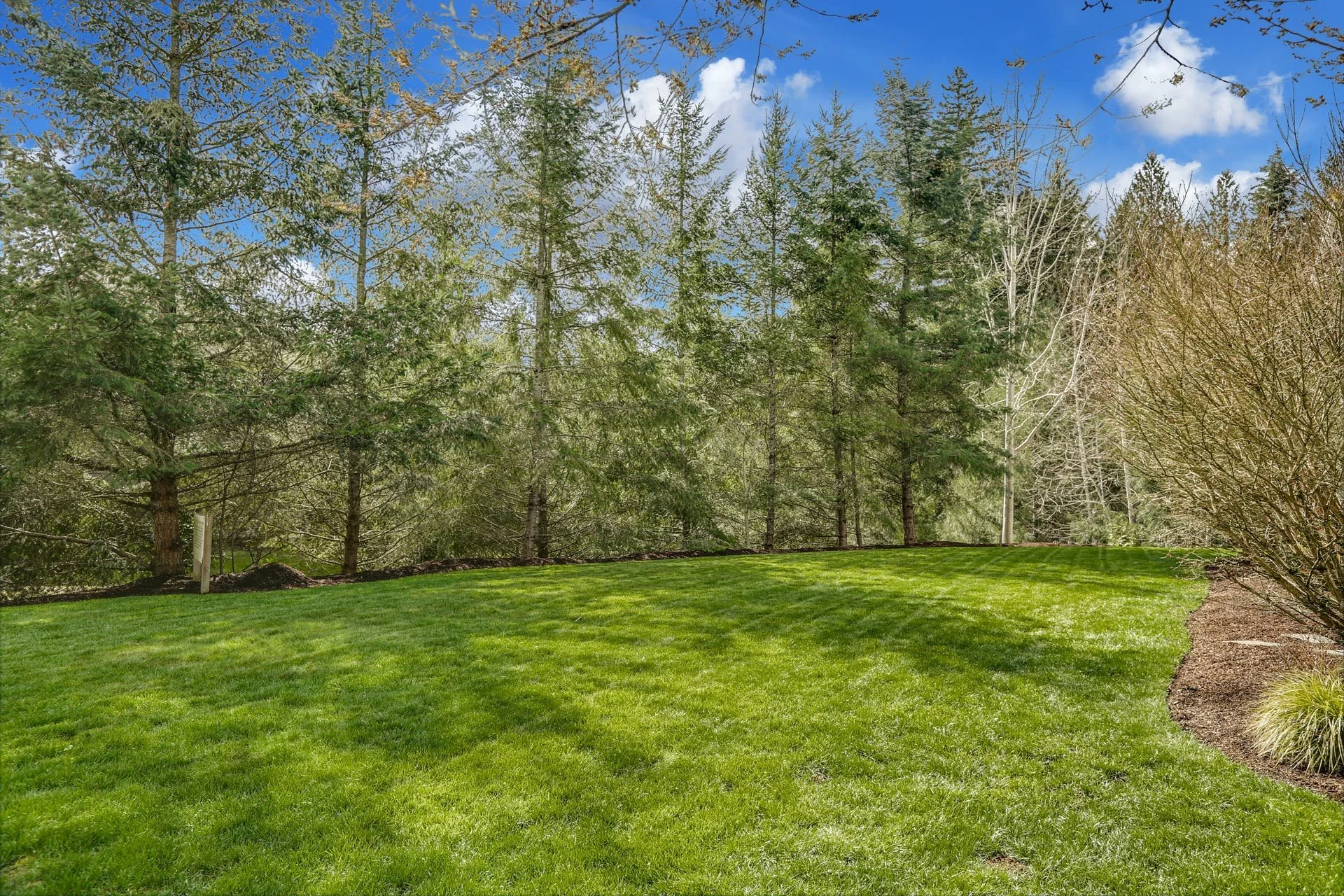 035-405552-1E3A7129_HDR.jpg