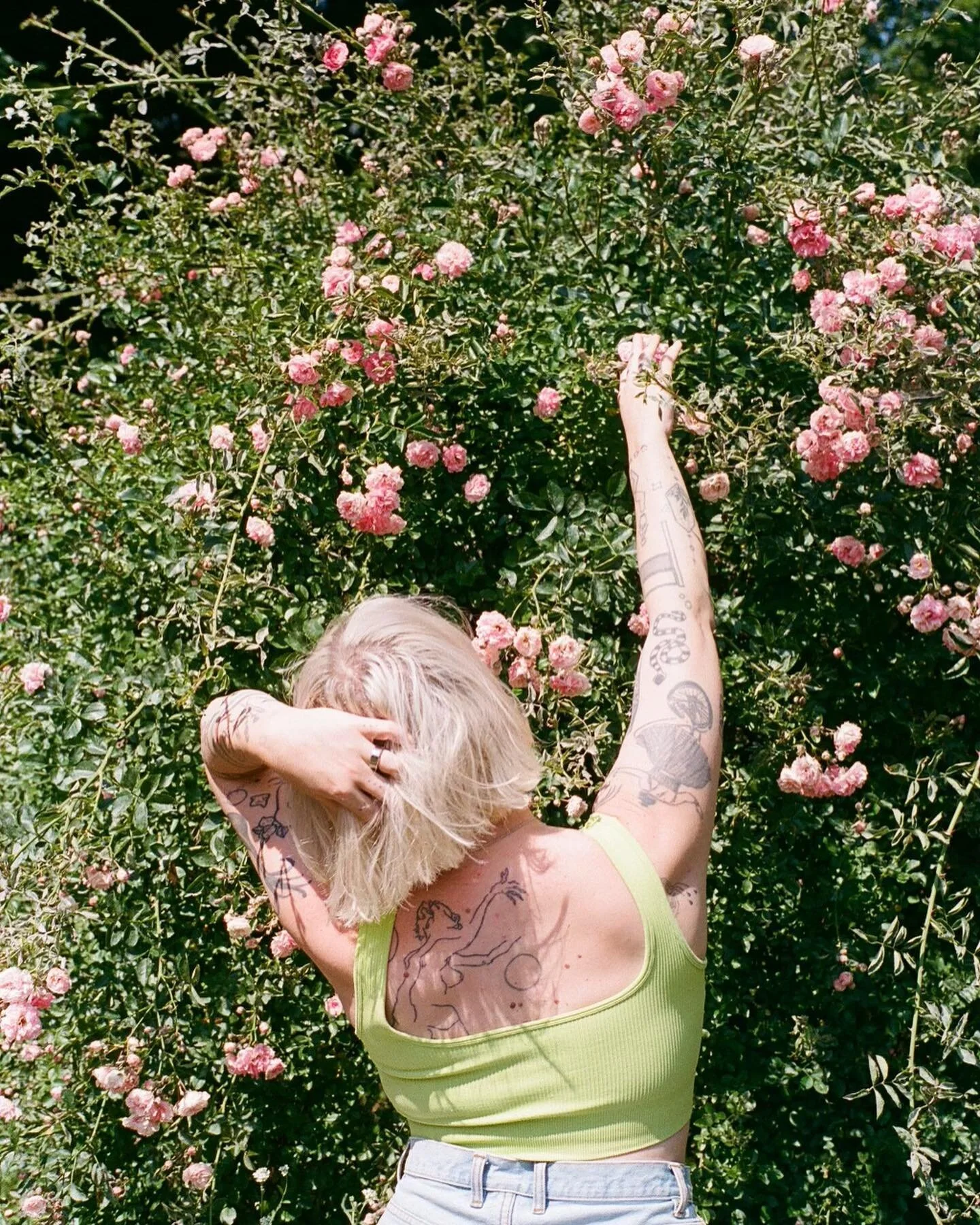Today in my newsletter I talk about my favorite yard plant, the rose bush 🌸🌹

also

🩰 How things become new again 
🍃 What I&rsquo;m paying attention to
✏️ Flexible Office : Writer&rsquo;s Retreat next week on zoom 
And more 💜💜💜

I&rsquo;m your