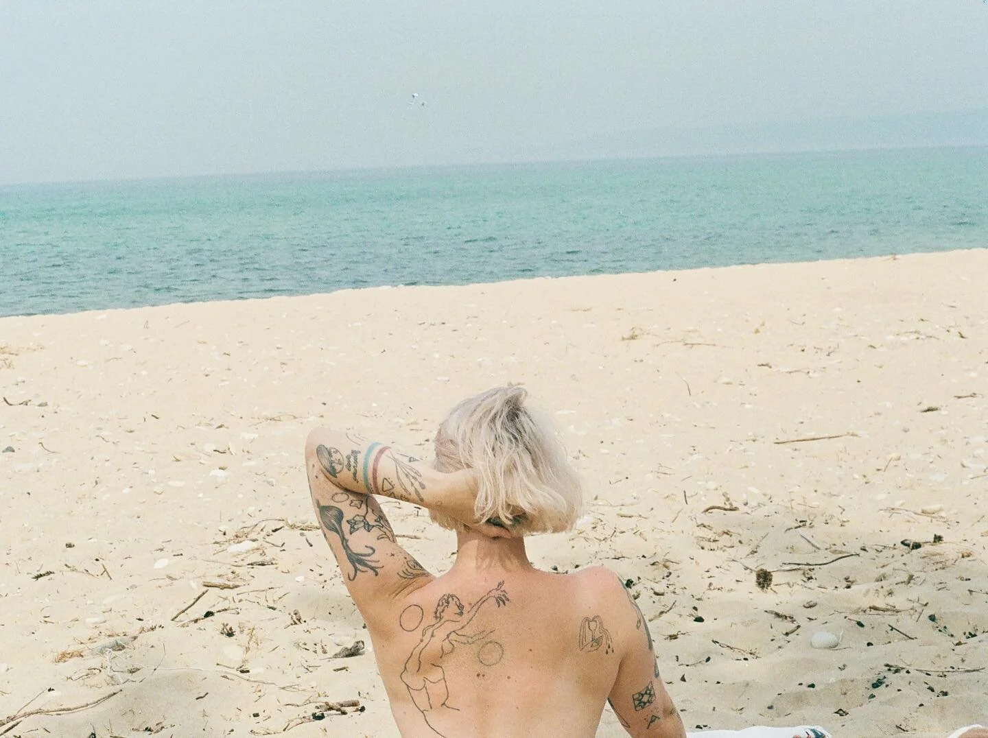 ALONE ON THE SHORE

I started watching Sex and the City for the first time alone in the woods and am wondering why I live so far away from everyone I&rsquo;ve ever loved! 

Link in bio to sink your teeth into my chaos or check your spam folder ✉️✉️✉️