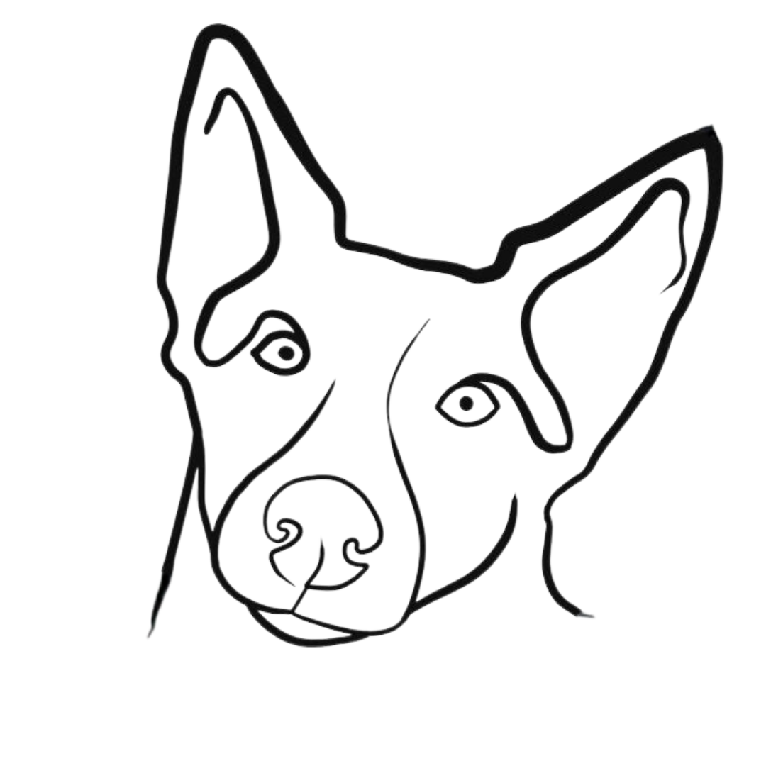 Considering Canine Behaviour