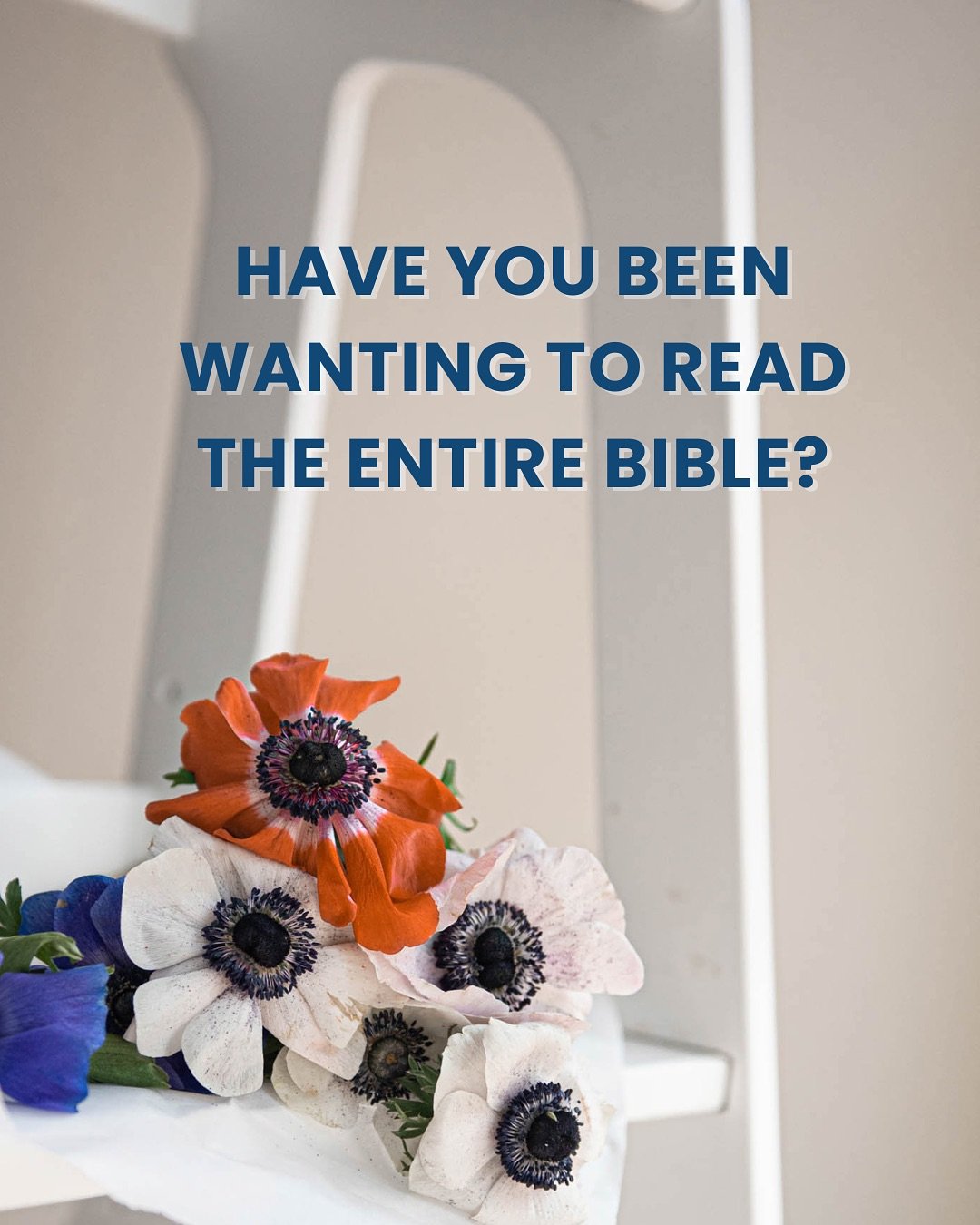 Have you ever read the Bible cover to cover, Genesis to Revelation? We&rsquo;re here to help! 🙌🏼 Join us in our 200 Day Reading Plan! 

Each day has selected chapters in the Bible with accompanying summaries and study questions. You can do it in 20