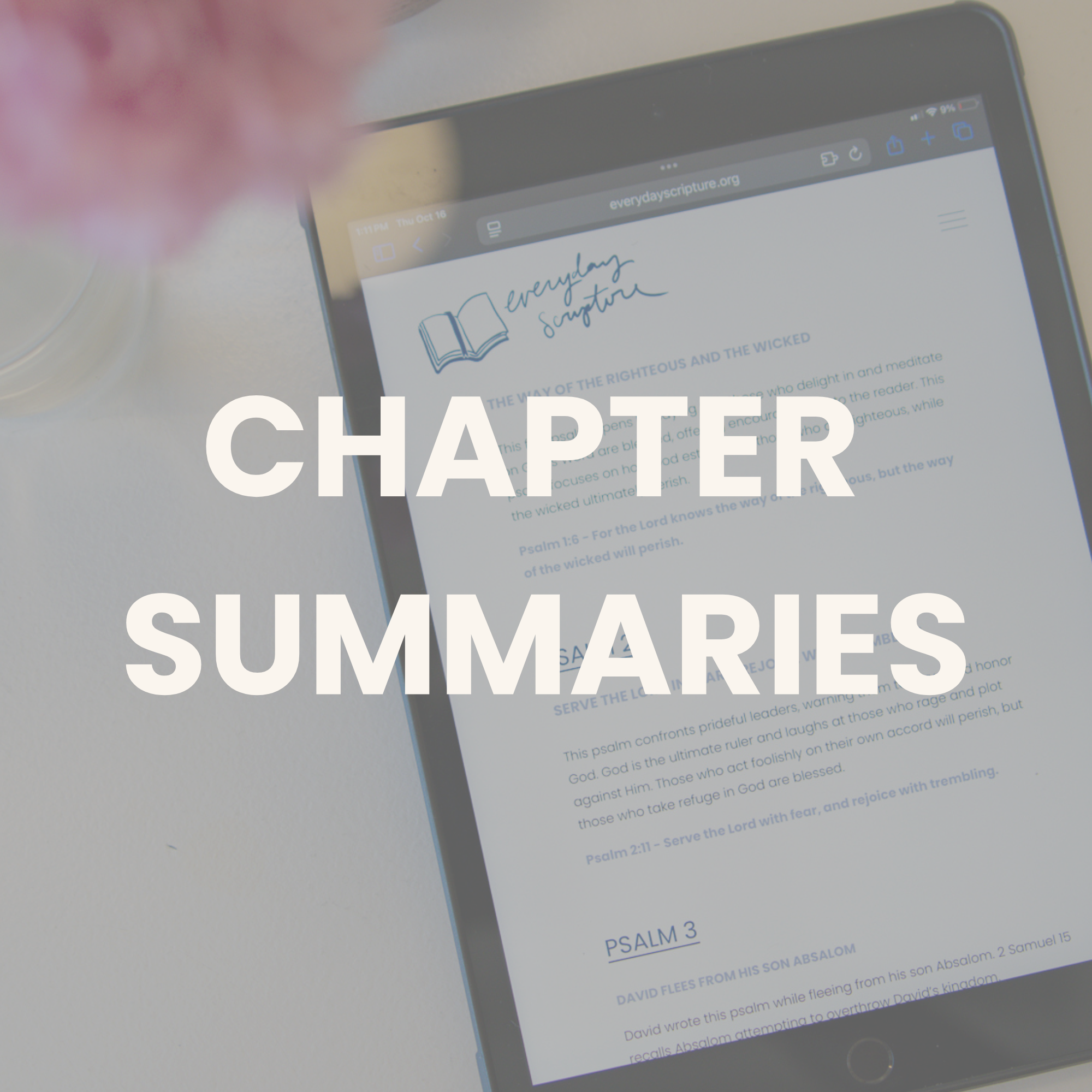 Bible Chapter Summaries.png