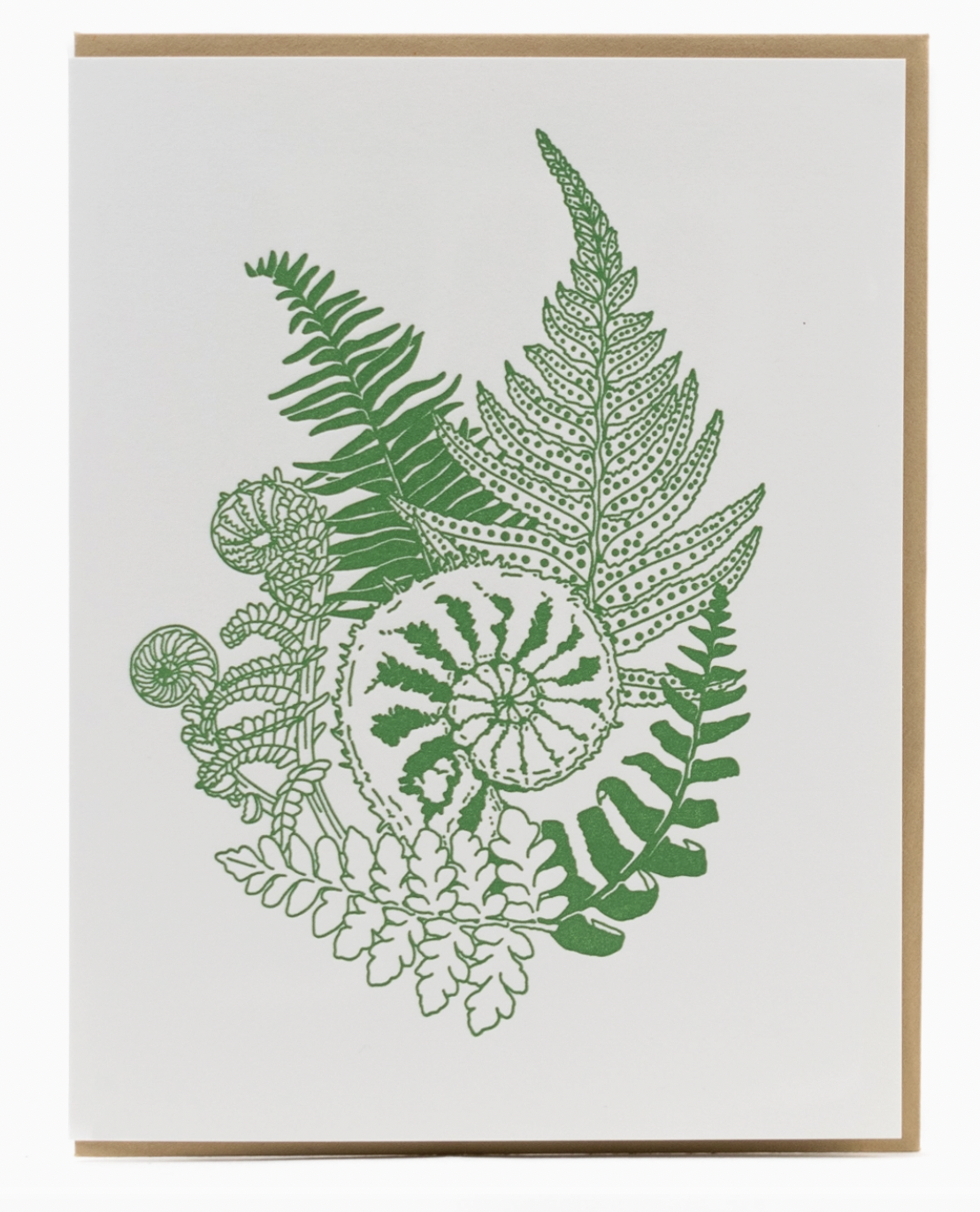 Screenshot 2025-10-26 at 10.09.42 PM.png