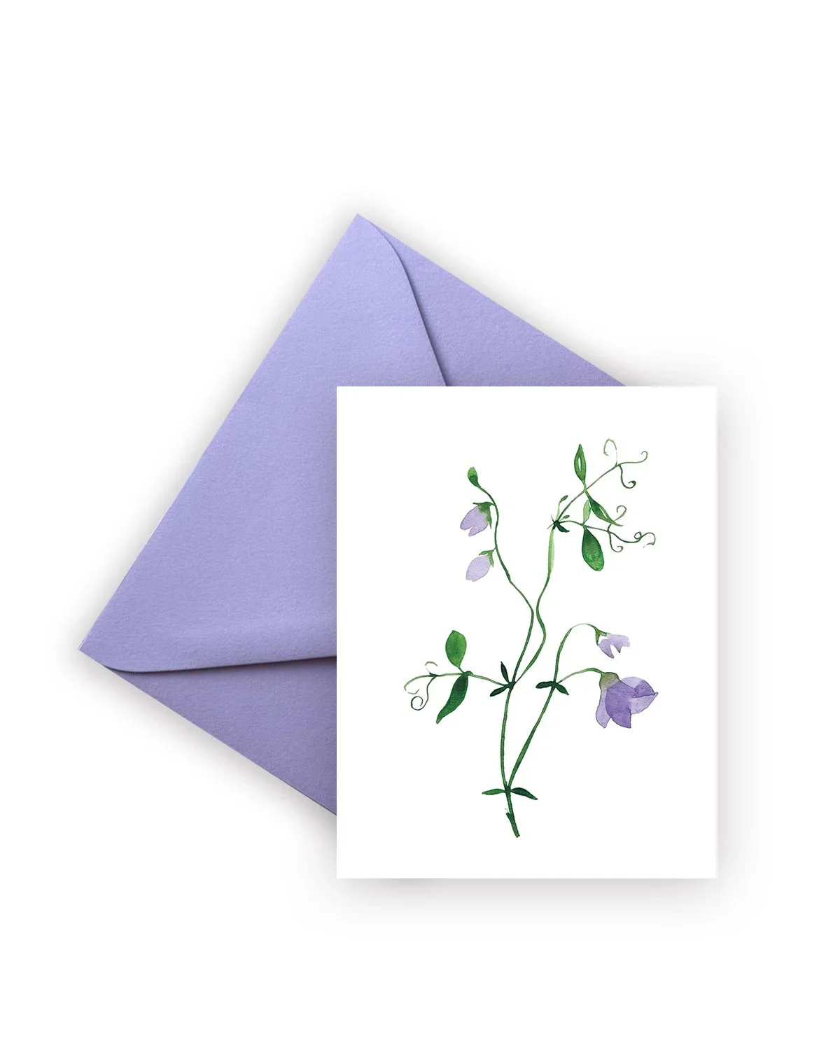 5700_Sweet+Pea_V_V3_Purple_Envelope_4x5_RGB.webp