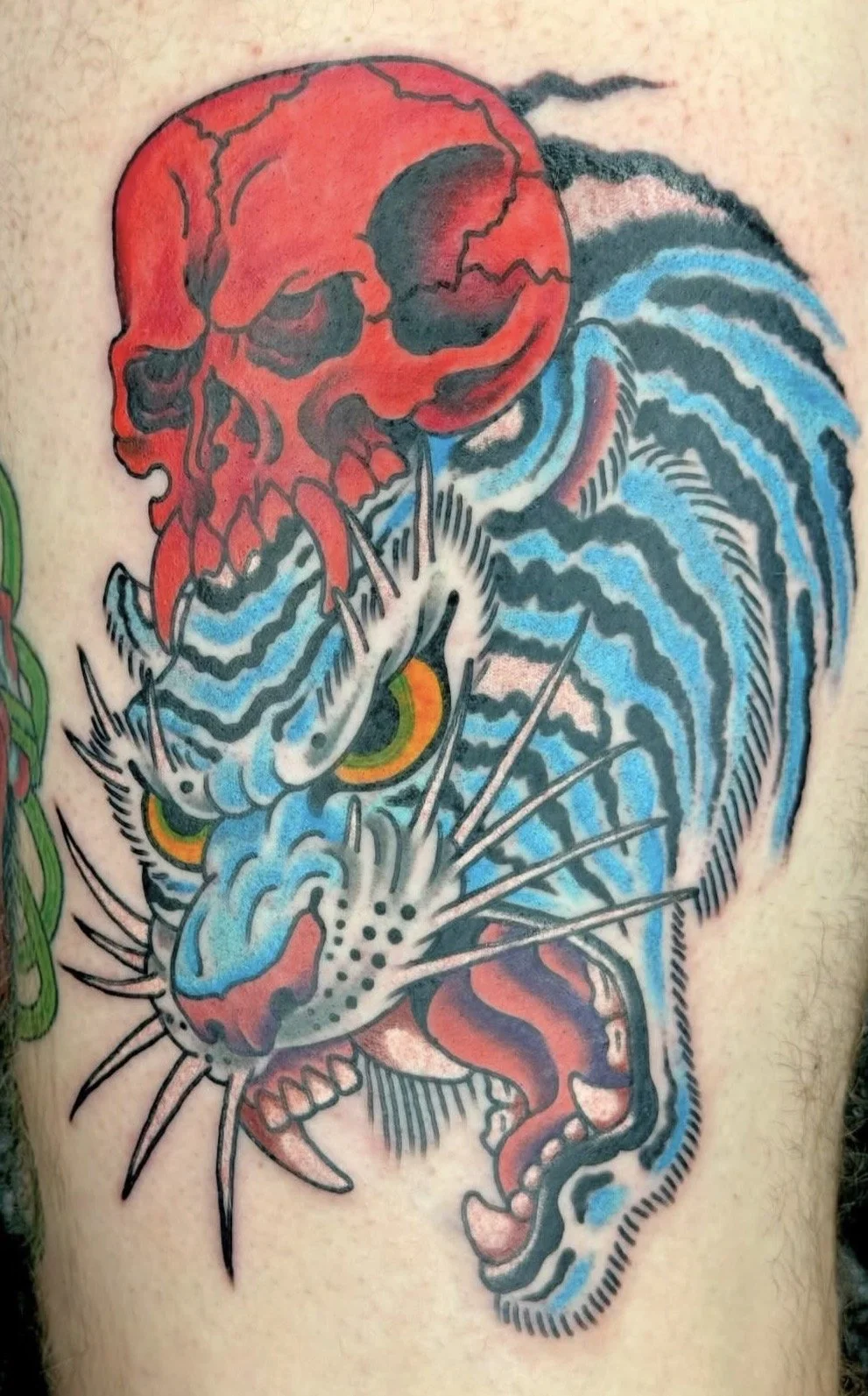 tiger.jpg