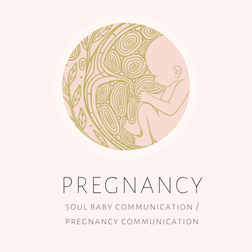 Soul Baby Communication / Pregnancy Communication sessions with baby.