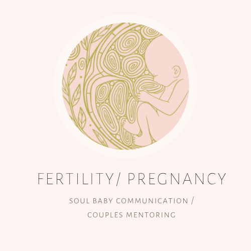 Fertility and pregnancy and miscarriage and stillbirth services.