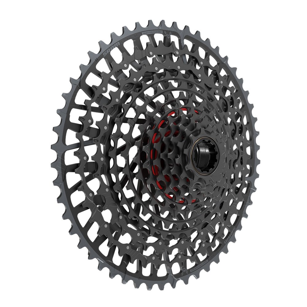kernel_sales_images_actualRender (5).jpeg