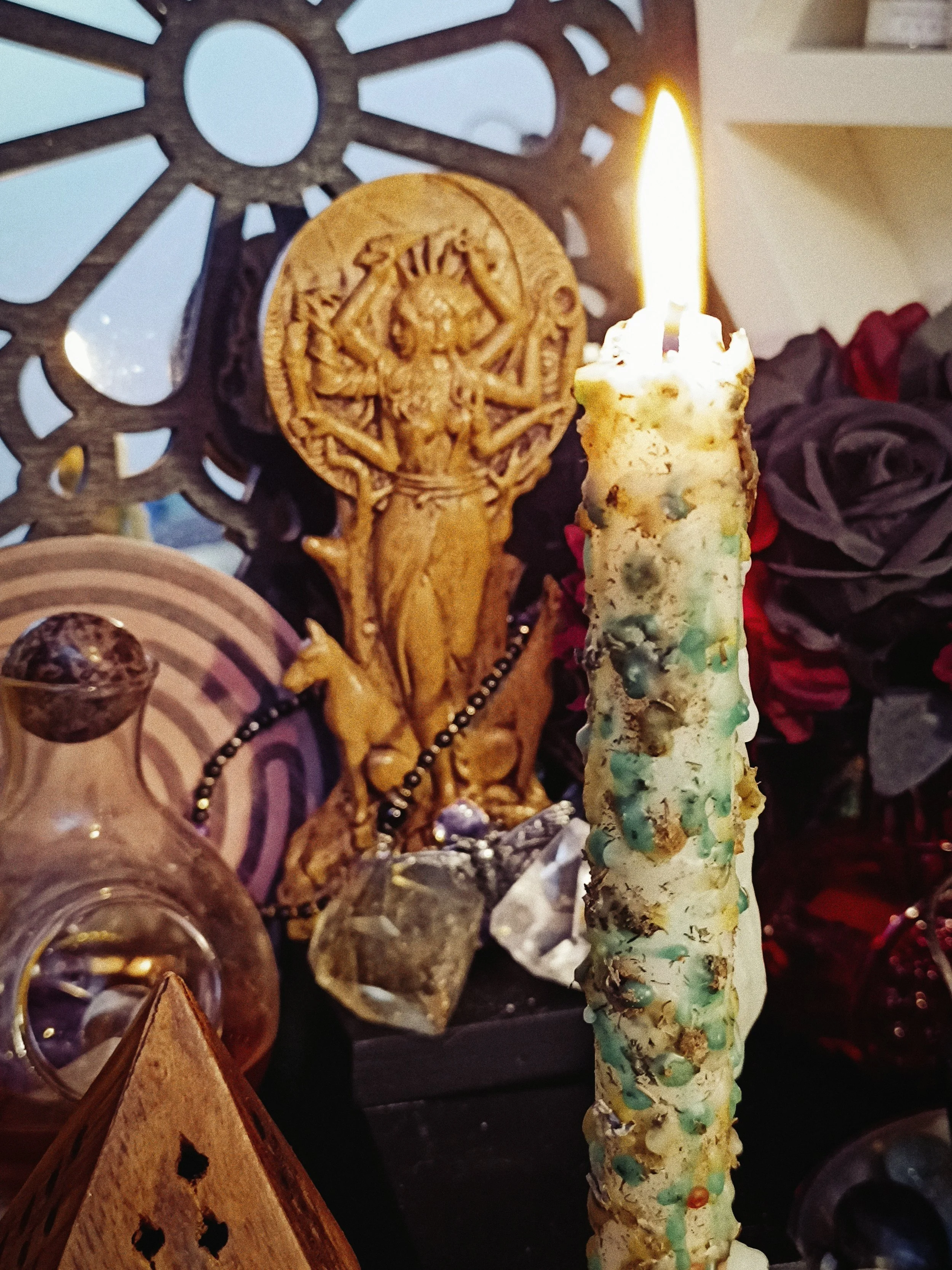 IMG_20261013_154451.jpg