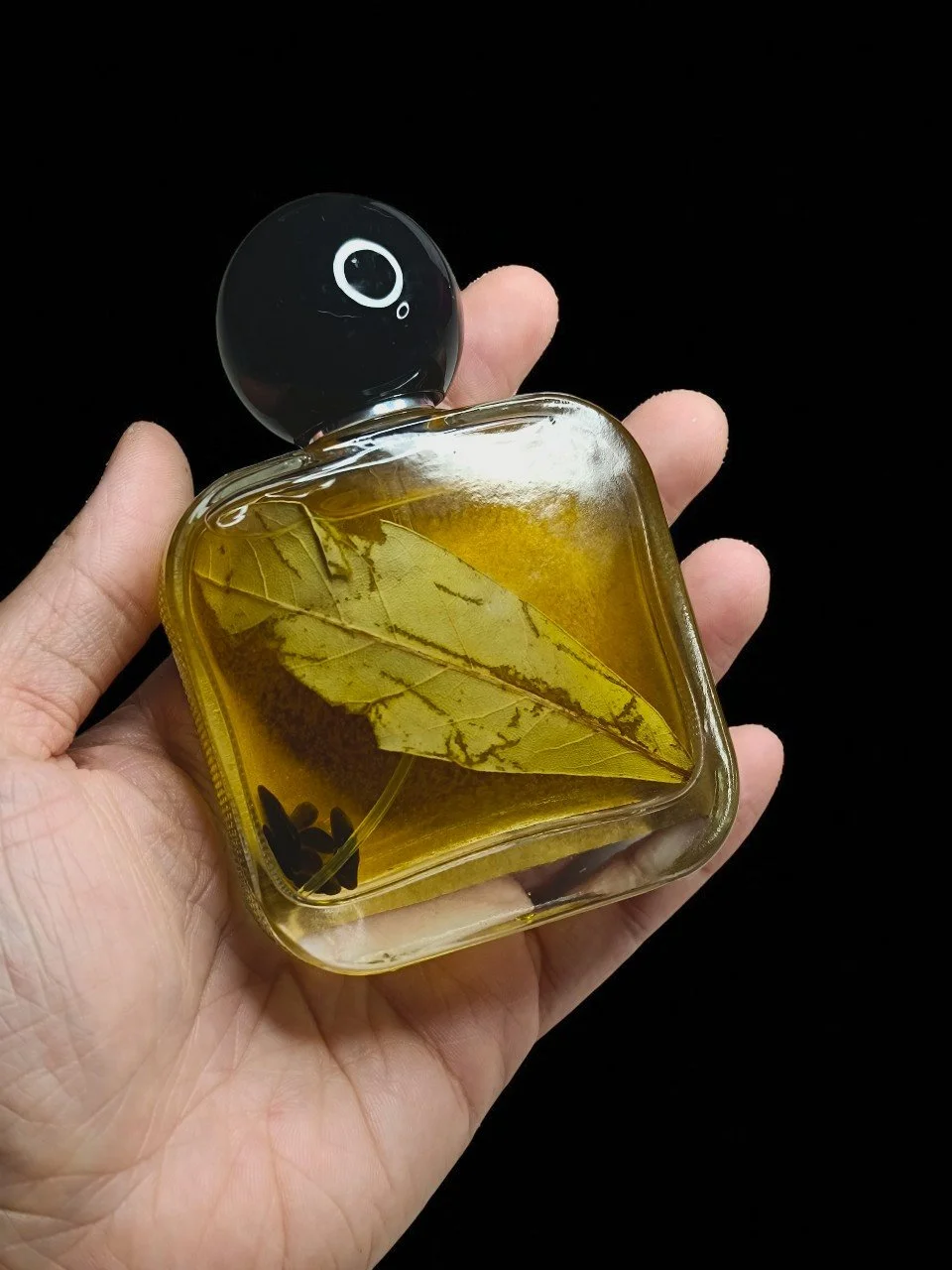 alexeatis hand back-Photoroom.jpg
