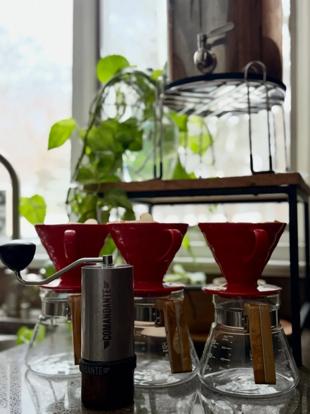 Constantly testing. Constantly tasting. Constantly dialing it in ☕️

Every roast that hits your cup has been sampled, adjusted, approved, and perfected. We don&rsquo;t guess. We refine until every flavor note shows up exactly how it should 🔬✨

Quali