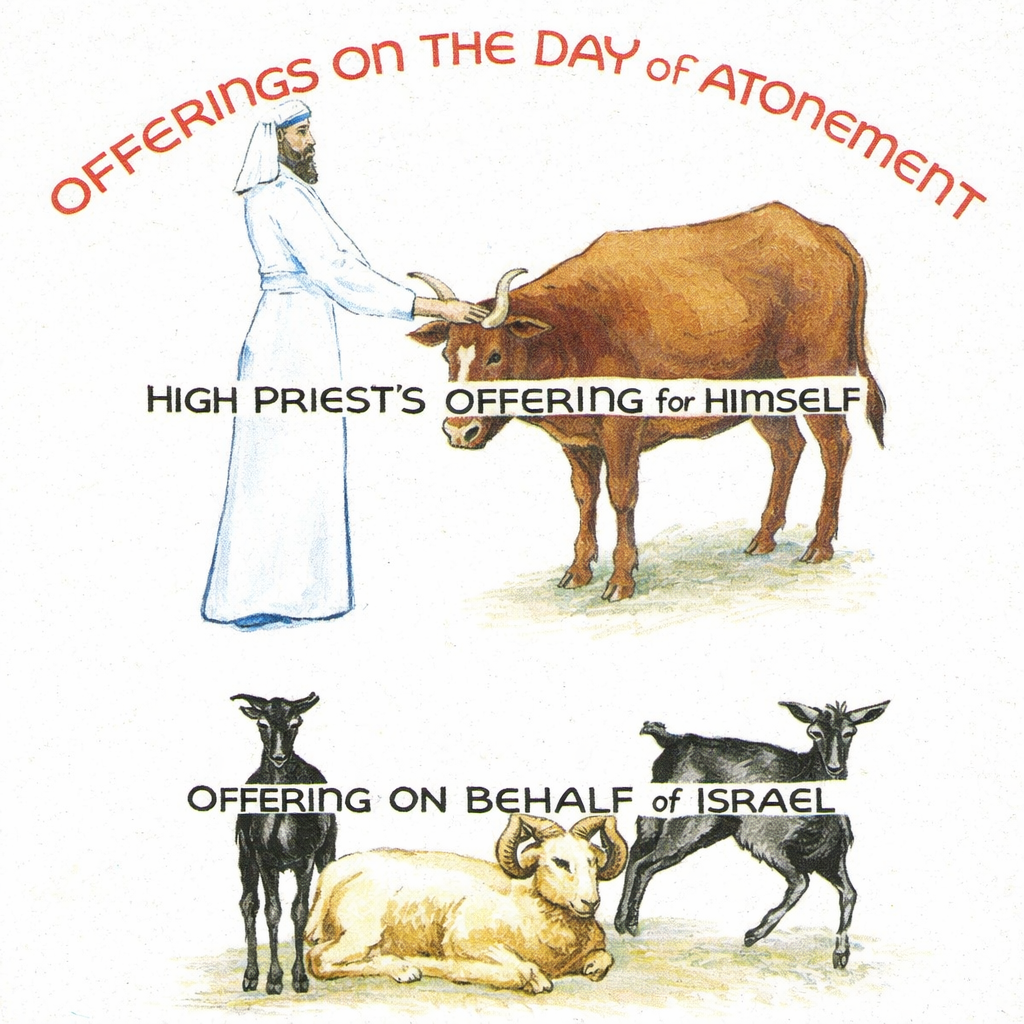 Animal Sacrifices Under the Law