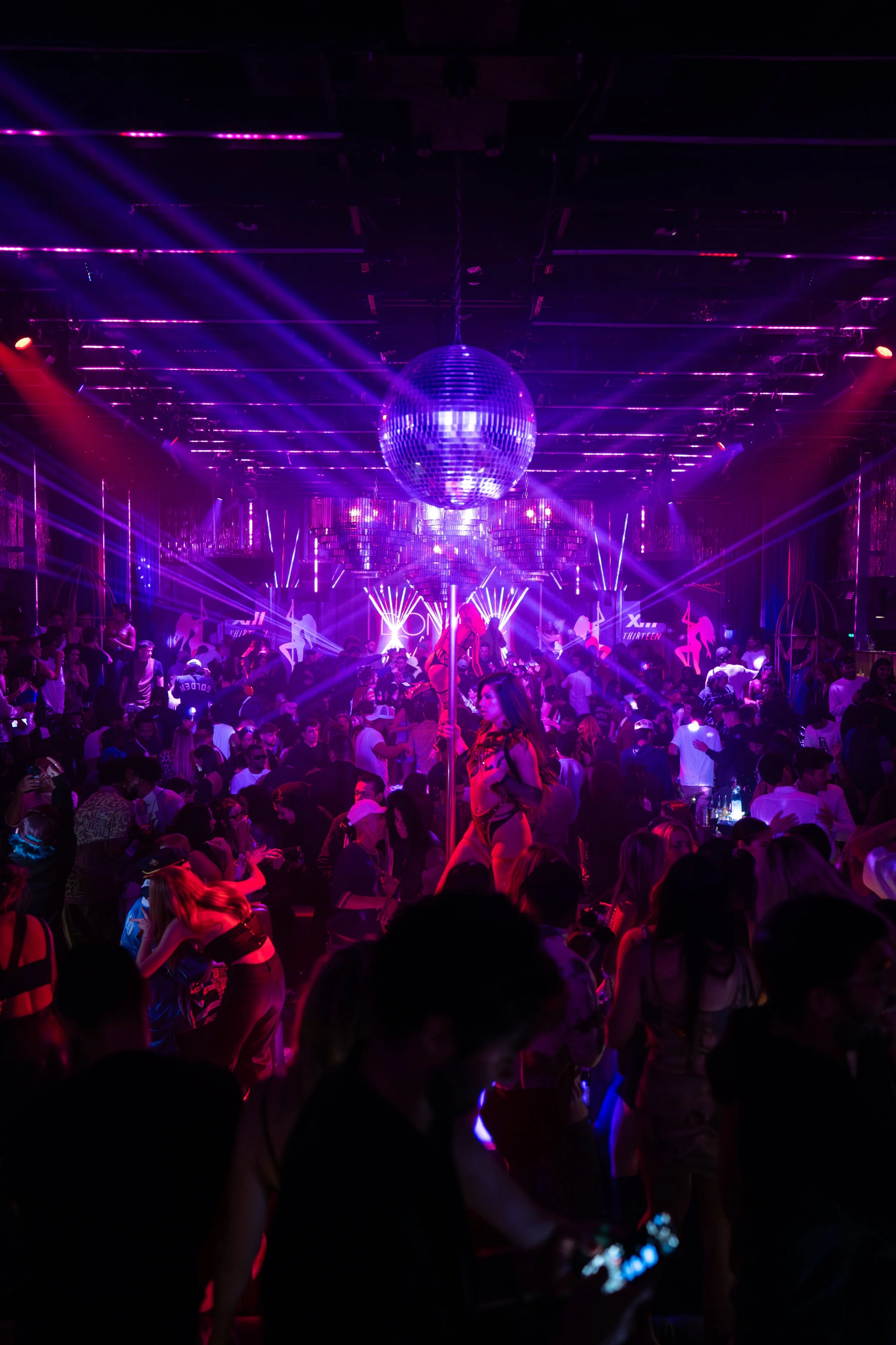  230430 Nightingale A7III DC 076.jpg