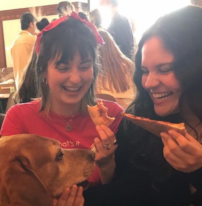 friendly_dog.jpg