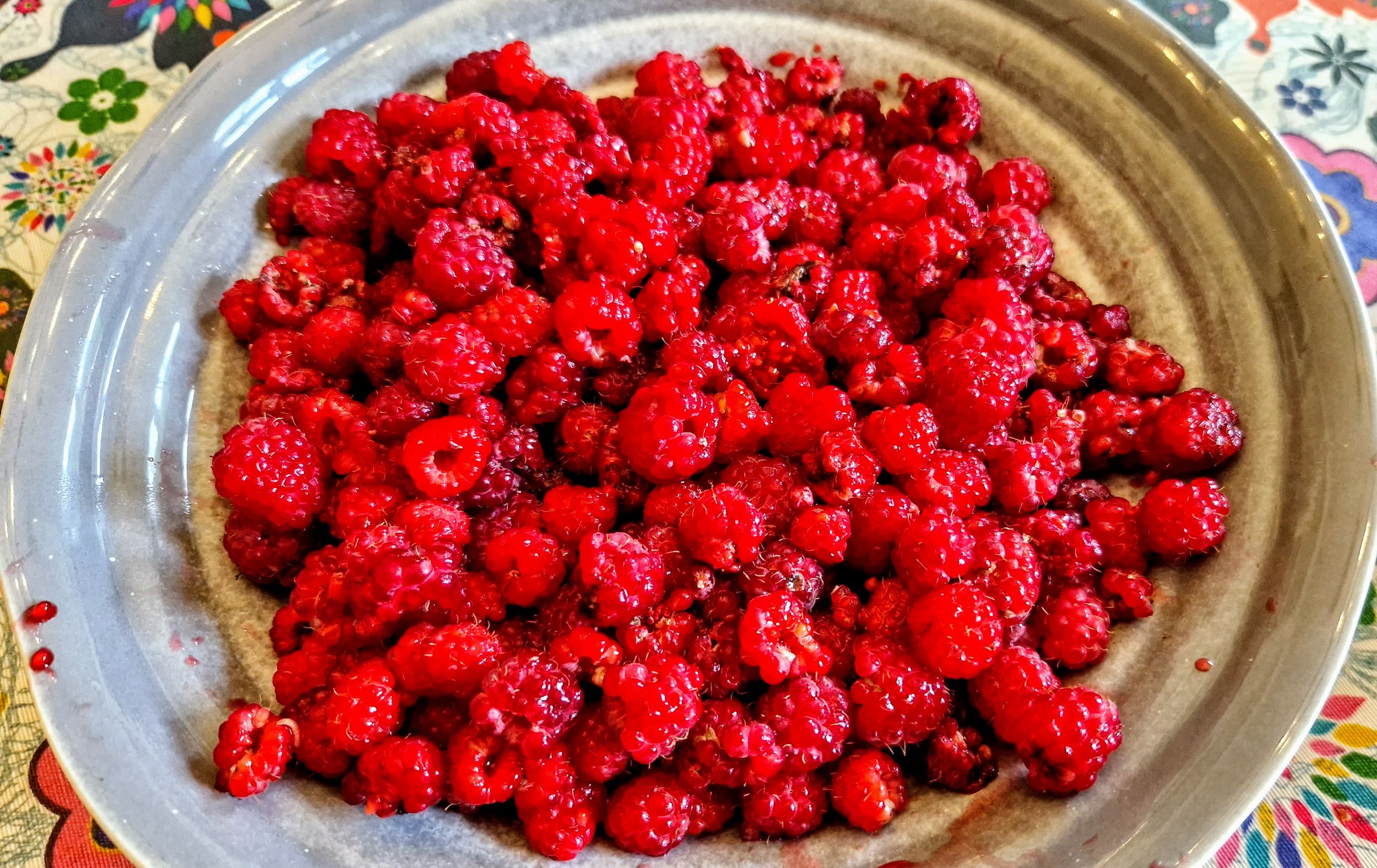 Homemade Raspberry Cordial