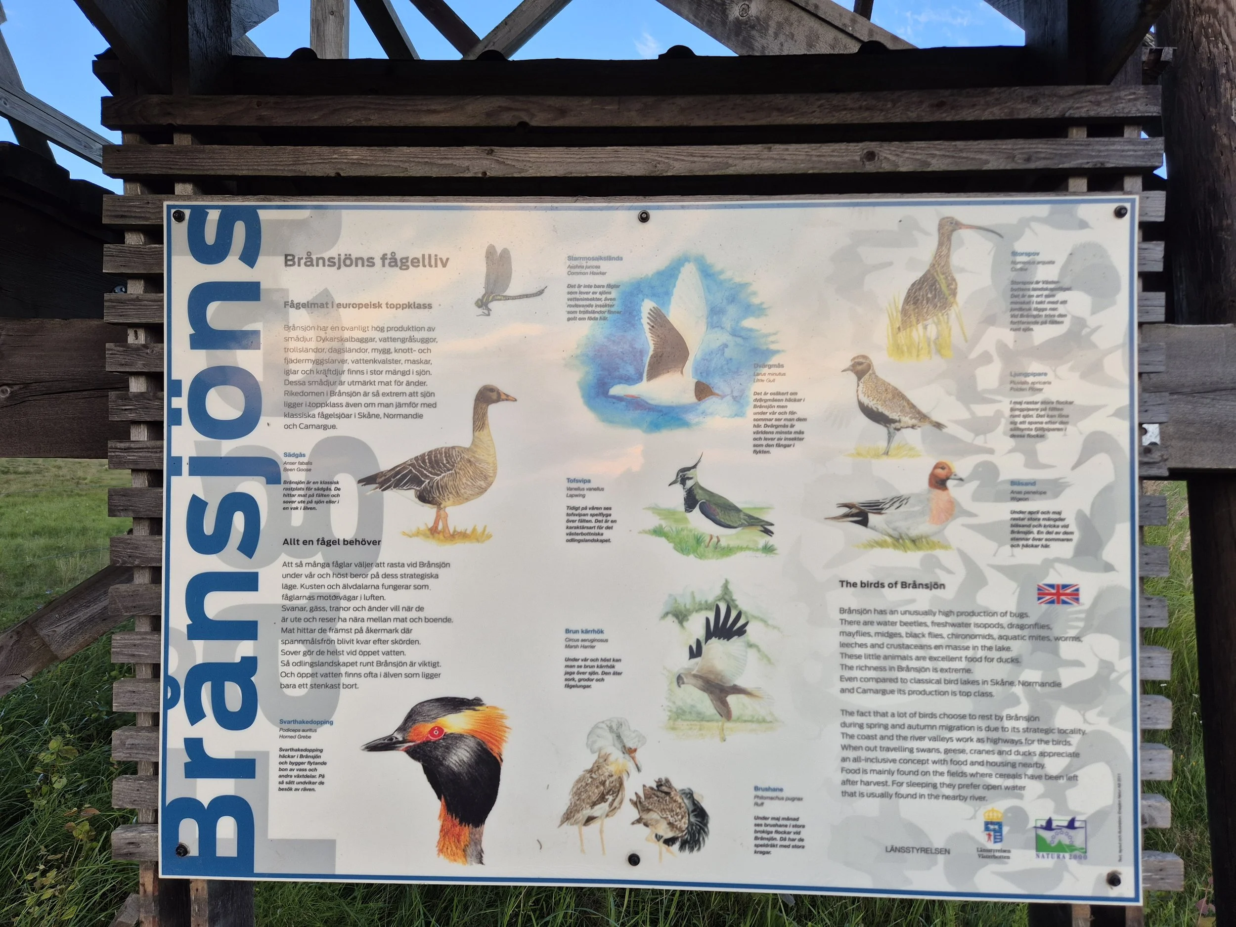 Brånsjön Nature Reserve in Sweden