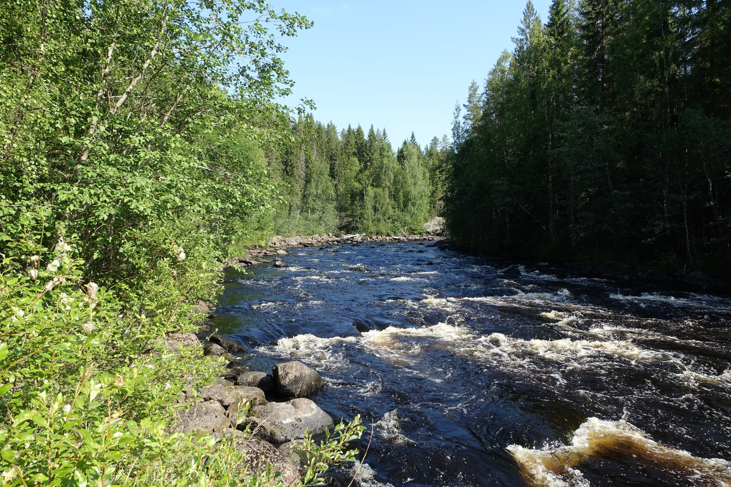 Kvarnforsen